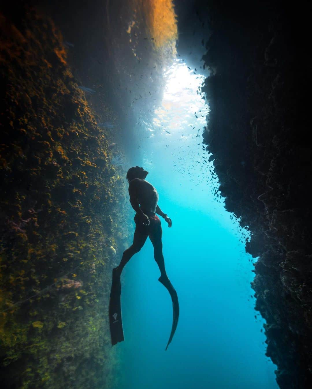 ダン・ビルツァーアンさんのインスタグラム写真 - (ダン・ビルツァーアンInstagram)「Cave diving w @tones.of.blue」9月4日 18時31分 - danbilzerian