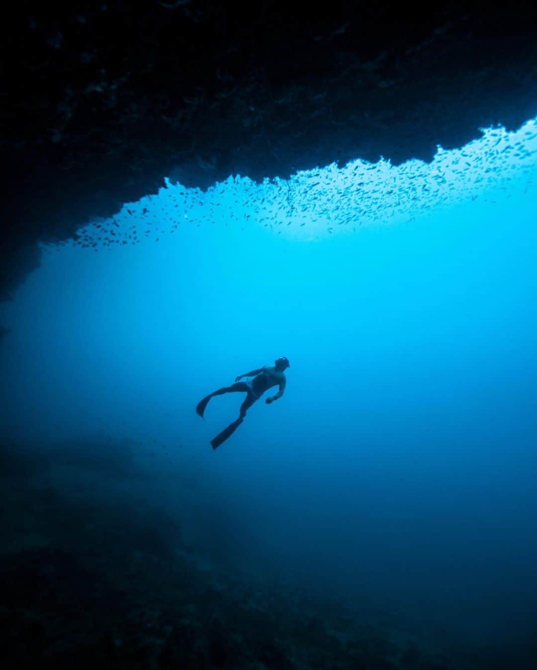 ダン・ビルツァーアンさんのインスタグラム写真 - (ダン・ビルツァーアンInstagram)「Cave diving w @tones.of.blue」9月4日 18時31分 - danbilzerian