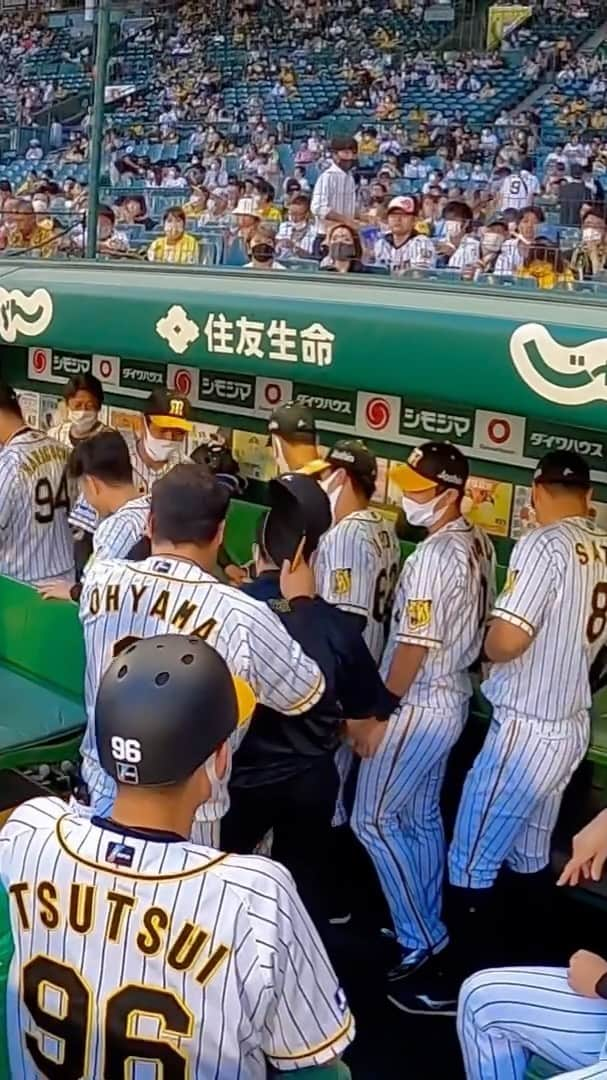 阪神タイガースのインスタグラム