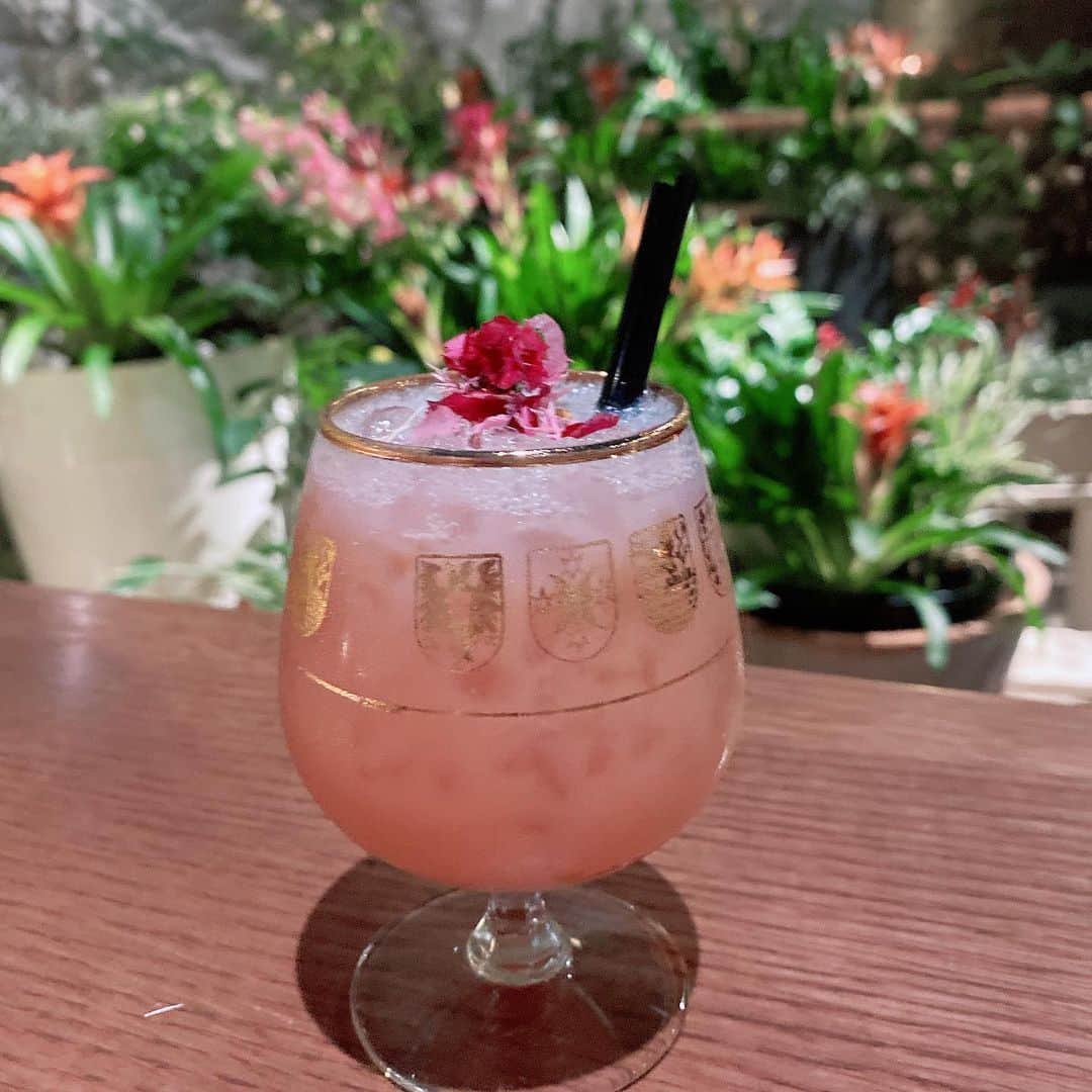 藤田いろはのインスタグラム：「ずっと前に飲んだかわいいぽしゃけ ⁡ ⁡ ⁡ ⁡ ⁡ ⁡ ⁡ #カクテル #お酒好き女子」