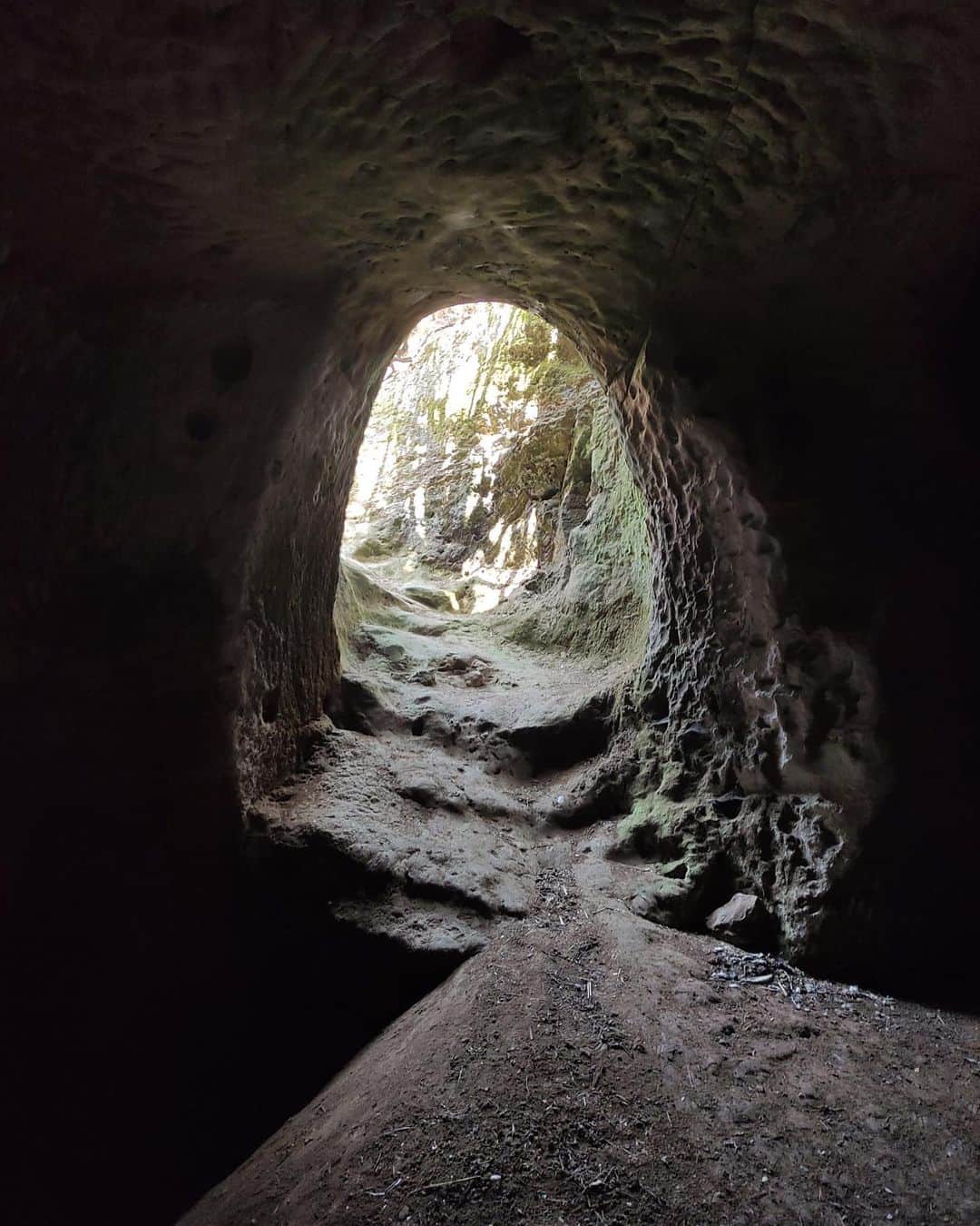 Jacob Simonのインスタグラム：「Watchu know about 2,000-year-old Israeli tunnels? (Quite a lot if you’re @guy_the_guide)」