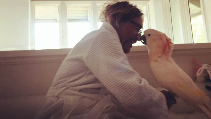 イギー・ポップのインスタグラム：「Just workin’ on my harmonies over here. Hope everyone is doing alright out there.  #BiggyPop #Moluccan #Cockatoo #bird #birb  #Candy #BrickByBrick #IggyPop #KatePierson @thekatepierson 🙌. #1990 🍬」