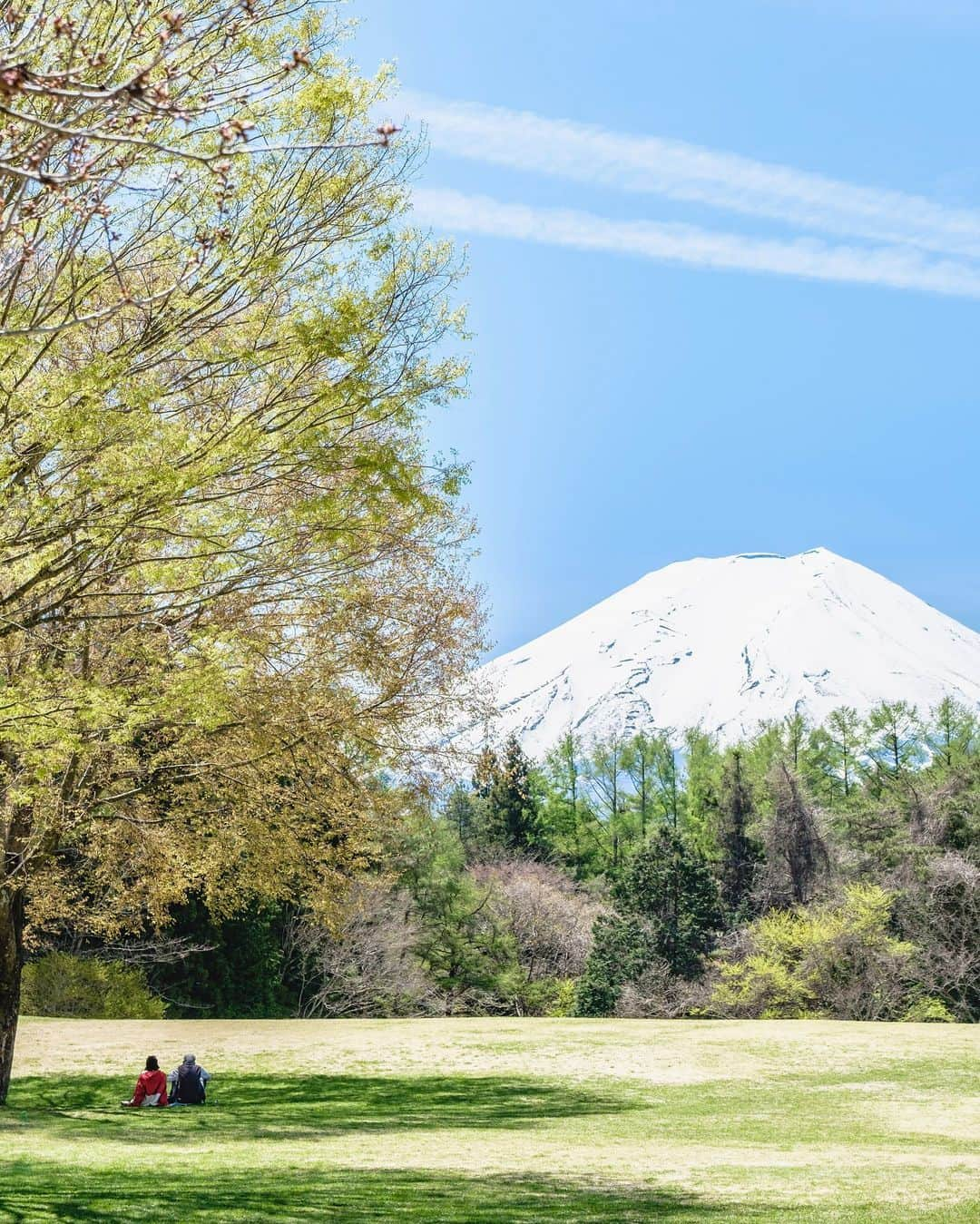 SHOCK EYEさんのインスタグラム写真 - (SHOCK EYEInstagram)「富士山が好き。  その姿を拝めただけで、幸せな気分になる。  不意に車窓から見えた瞬間、得した気分になる。  気づくと、  ありがとうございます。  って手を合わせてる。  おだやかな自然に感謝をしたり、敬意を感じたりするのは、 きっと人として自然なことなんだよね。  都会暮らししていると忘れてしまう感覚を、忘れないように🙏✨  #富士山 #日本一 #富士山遥拝 #自然崇拝 #世界遺産 #worldheritage #mtfuji #fujisan #japantravel #japantrip #fujifilm #gfx100s #xs10 #beautifuldestinations #discoverjapan #discoverearth #voyaged #awesome_photographers #IamATraveler #wonderful_places #japanphoto #japanphotography #japan_of_insta #livingonearth #theglobewanderer」9月19日 10時16分 - shockeye_official