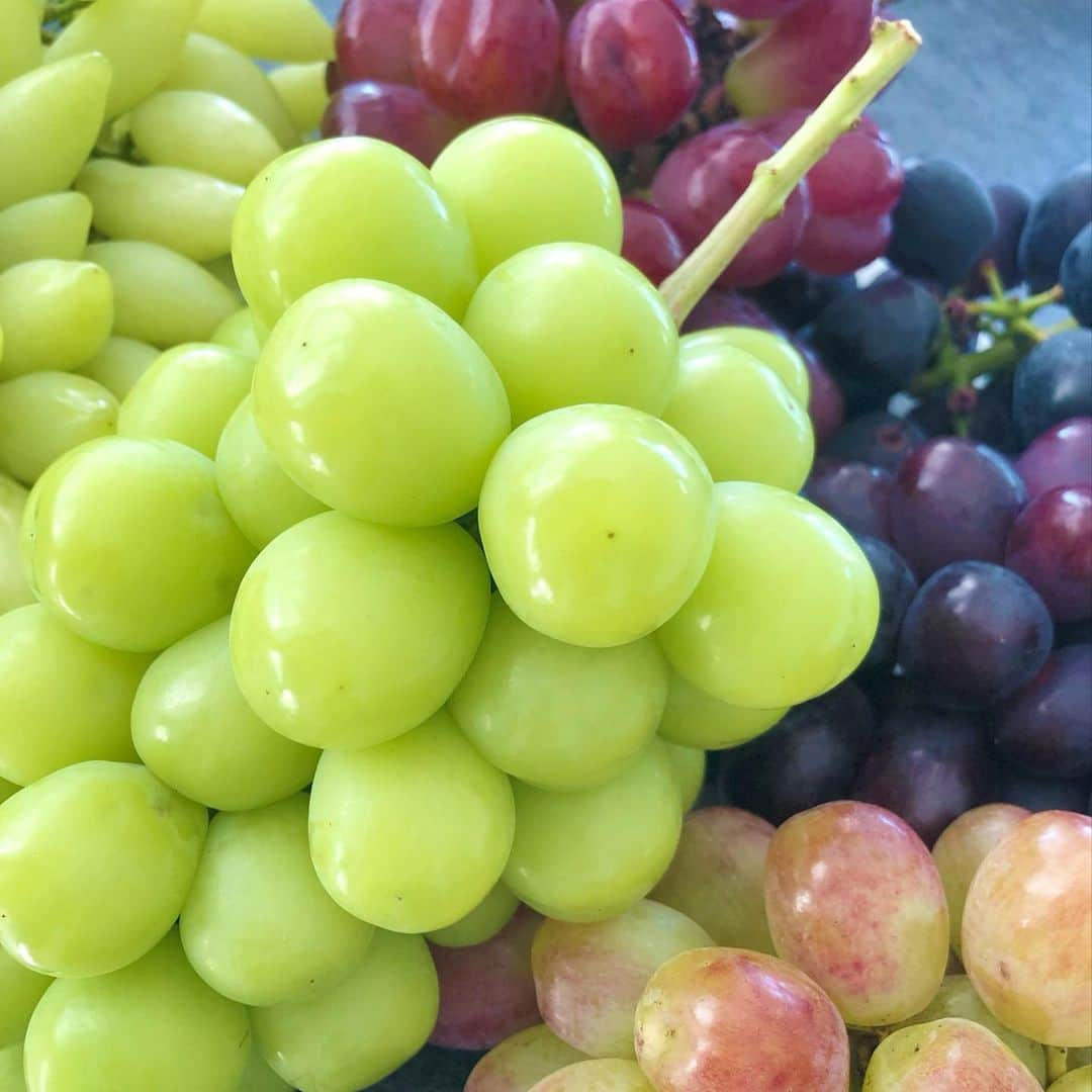 北川楓夏さんのインスタグラム写真 - (北川楓夏Instagram)「今年も山梨からいっぱい届いたー🍇 下のお皿が見えないくらい、たわわに実った果実☺️✨ 旬をいただきますっ！  #akita #秋田 #山梨 #ぶどう #秋の味覚 #🍇 #ピッテロビアンコ #甲斐乙女 #マイハート #ピオーネ #オリエンタルスター #シャインマスカット」9月19日 10時20分 - fuka.kitagawa