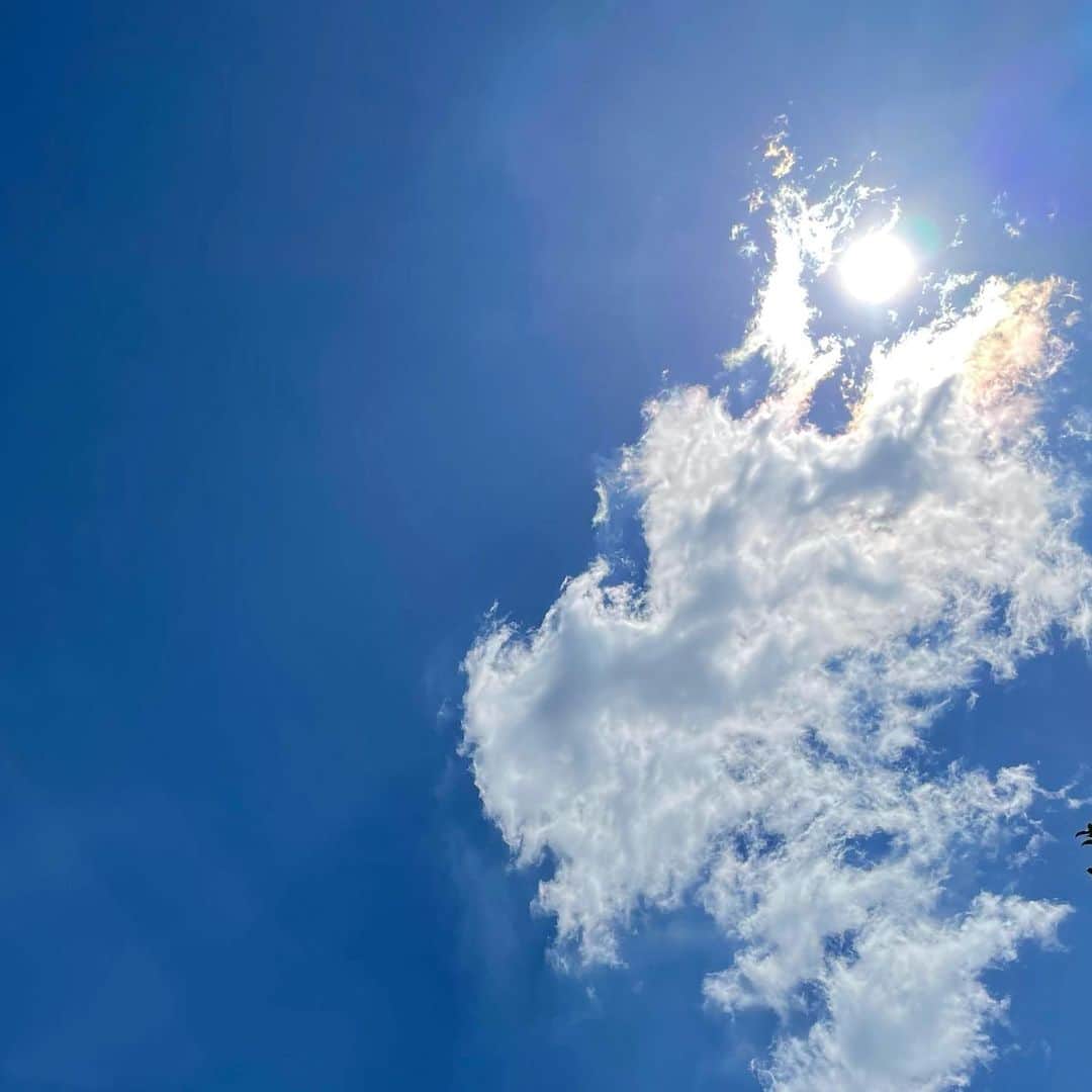 吉井明子さんのインスタグラム写真 - (吉井明子Instagram)「꙳✧˖°⌖꙳✧˖°⌖꙳✧˖°⌖꙳✧˖°⌖꙳✧˖°⌖꙳✧˖° こんにちは☺︎ 美しい青空が広がって、気持ちよさそうに浮かぶ雲がふわふわ。 写真で見たら少し彩雲にもなっているかな？ （肉眼では太陽を見ないように撮っています🌞）  きのうまでの湿気をすべて持ち去ってくれる風🍃 大陸からの高気圧に北から覆われているのを実感できる、カラッとした空気〜✨  天気図を見るだけで爽やかな気持ちになるし、空気からも天気図が想像できるし…んもぅ秋だなあと嬉しくなります☺️  #台風一過の空 #といっても #温帯低気圧に変わっていましが… #東京の空 #秋空 #青空 #彩雲かな #気象情報 #天気予報 #気象予報士 #気象キャスター #weatherforecaster #기상캐스터　#氣象主播 #吉井明子」9月19日 11時49分 - akiko_yoshii_sunny_rain