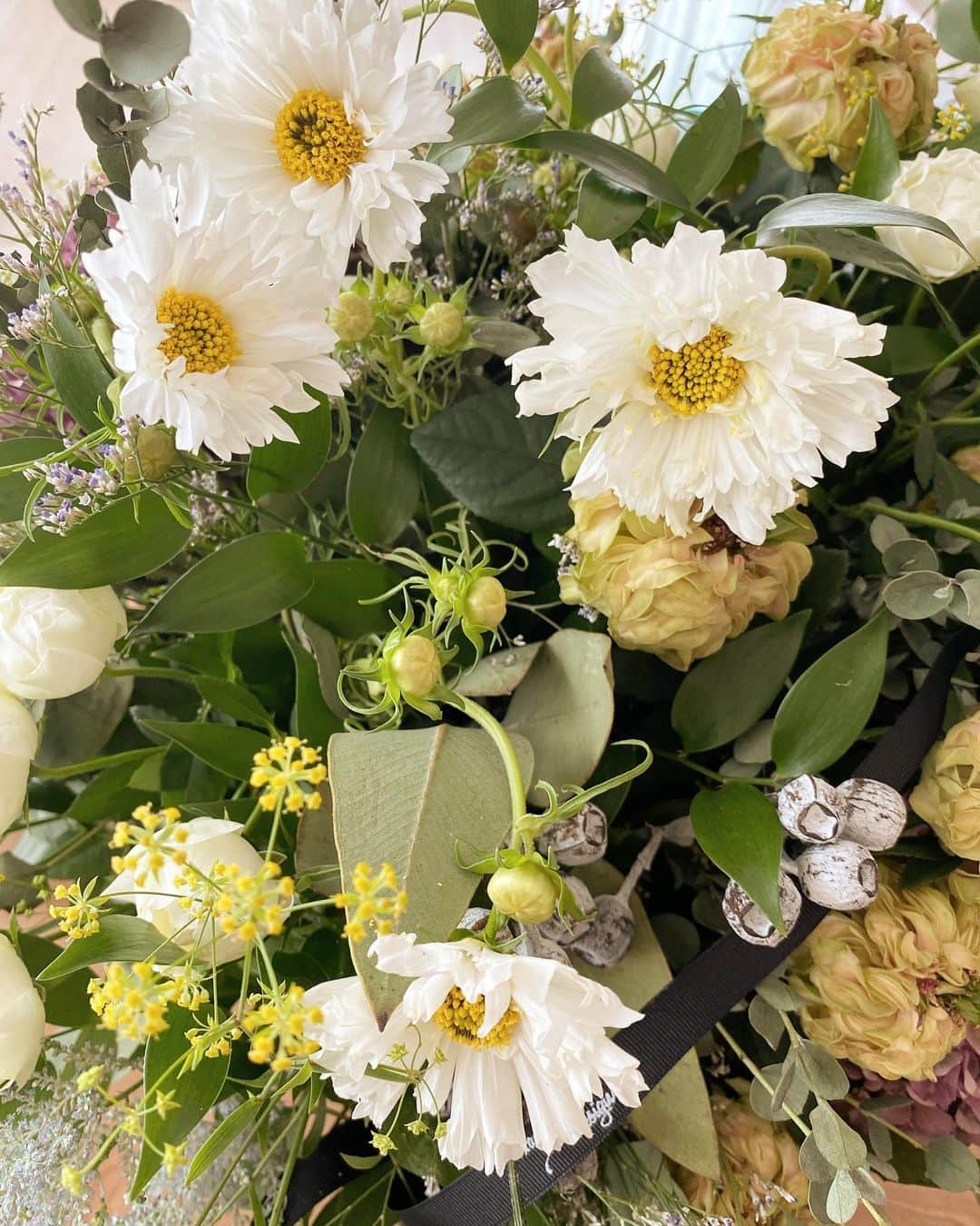 のインスタグラム：「自宅がお祝いのお花で溢れてる💐  昔からお花のお世話は心のバロメーターだと思っていて、枝切りしたり水やりするときもちが穏やかで居れる♪  今日は久しぶりにお天気も良くてちょっぴりまめさんと日光浴🌞　とっても気持ちよくてうとうと寝そうです😪  #花のある暮らし  #心のバロメーター」