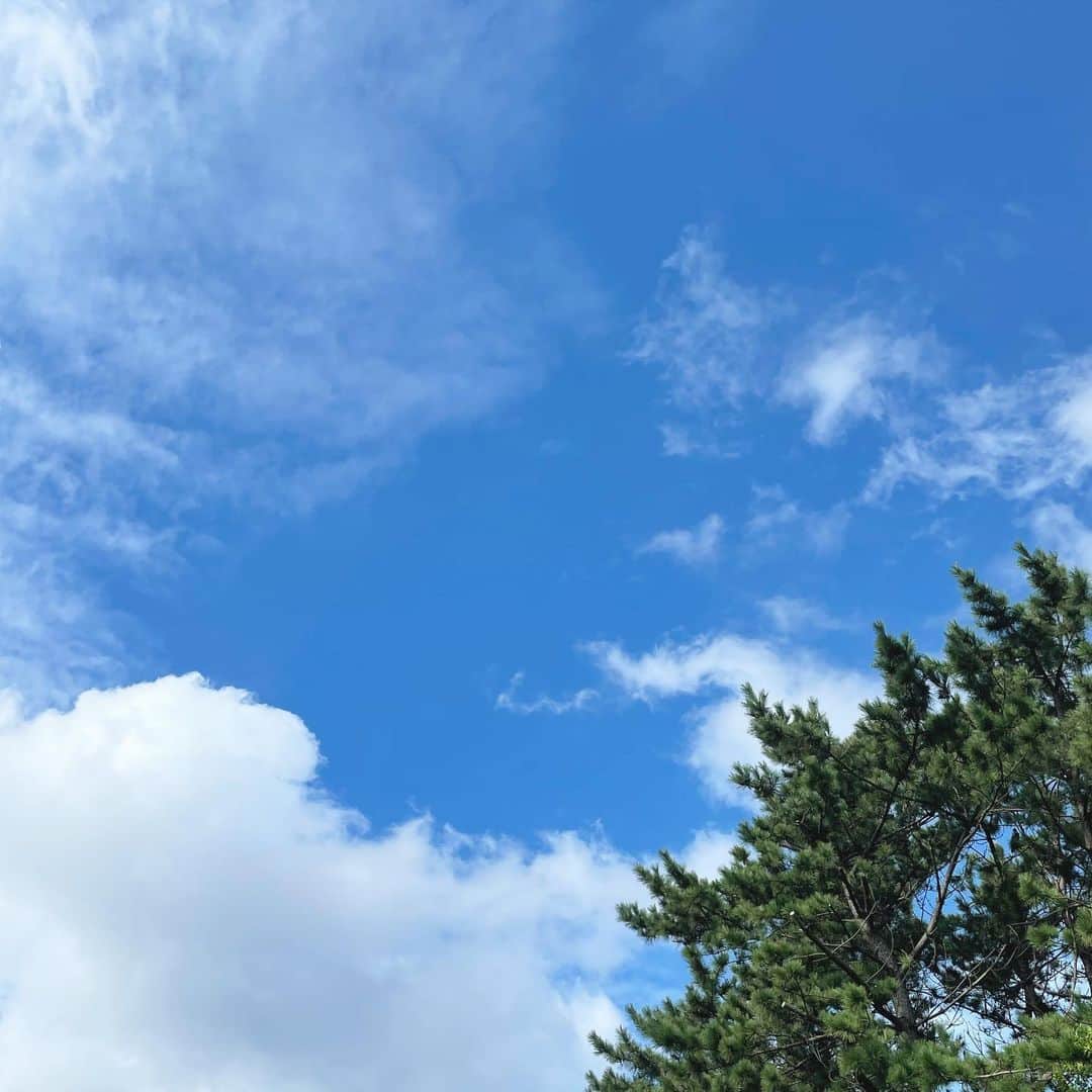 中林美和さんのインスタグラム写真 - (中林美和Instagram)「青空がまるで 見守ってくれているようでした♡」9月19日 15時24分 - miwanakabayashi
