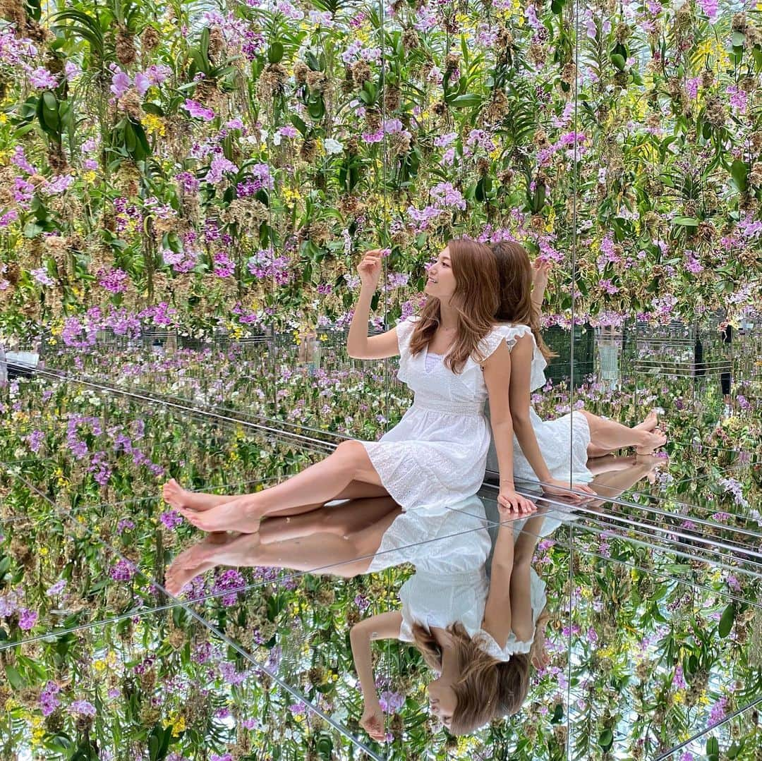 市原彩花さんのインスタグラム写真 - (市原彩花Instagram)「Team labo Planets💐 These are all real flowers🥀  新しく出来た、本物の蘭の花がたくさんあるエリア☺️ みんなのインスタで見て、来てみたかったんだぁ🥰 最高に可愛い空間だった♡  平日の午前中に早めに蘭のエリア行くと空いてたよ💐  #チームラボプラネッツ#チームラボ豊洲#teamlab#teamlabplanets#蘭#インスタ映え#映えしかない#tokyo#toyosu#orchids#tbt」9月19日 15時42分 - ayaka_ichihara