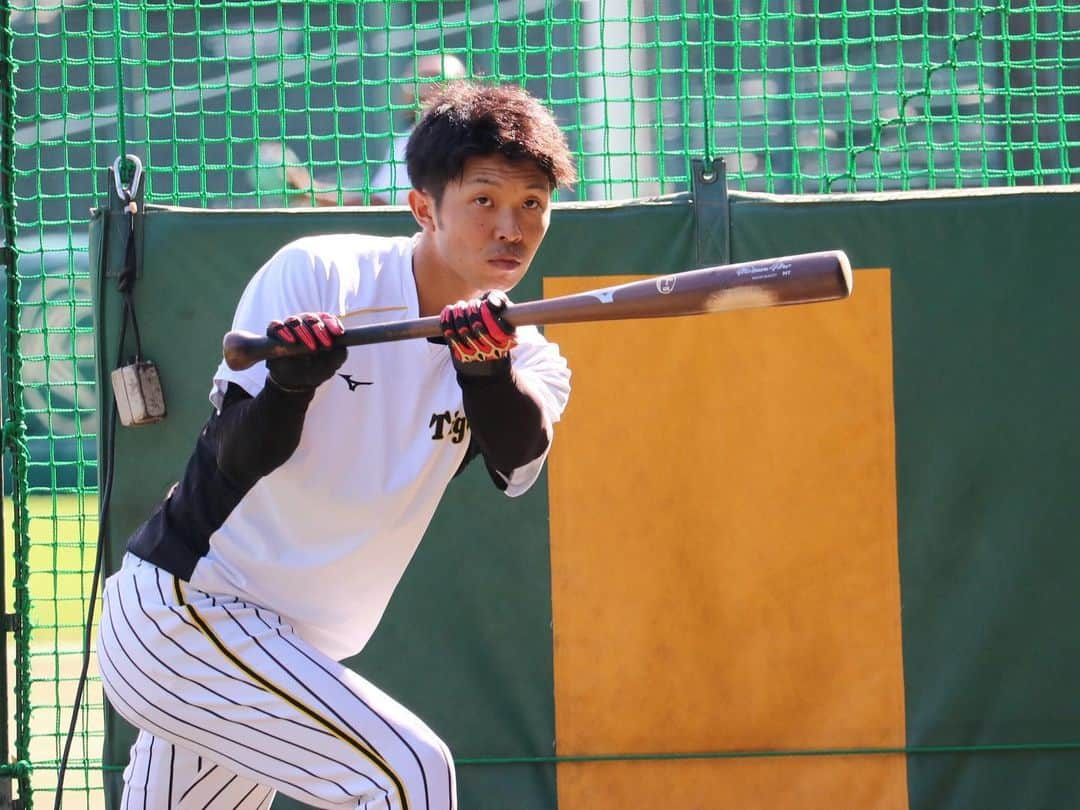 阪神タイガースさんのインスタグラム写真 - (阪神タイガースInstagram)「今日は甲子園で巨人戦‼︎ 試合前練習の様子です！  #糸井嘉男 選手 #伊藤将司 選手 #植田海 選手 #秋山拓巳 選手 #島田海吏 選手 #阪神タイガース #伝統の一戦  #挑超頂」9月19日 16時24分 - hanshintigers_official