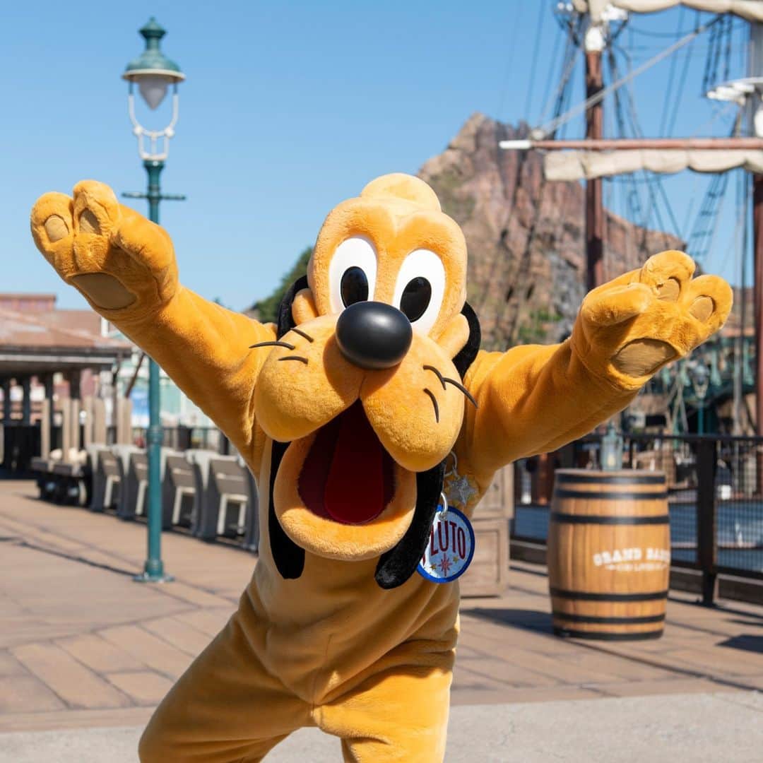 東京ディズニーリゾートのインスタグラム
