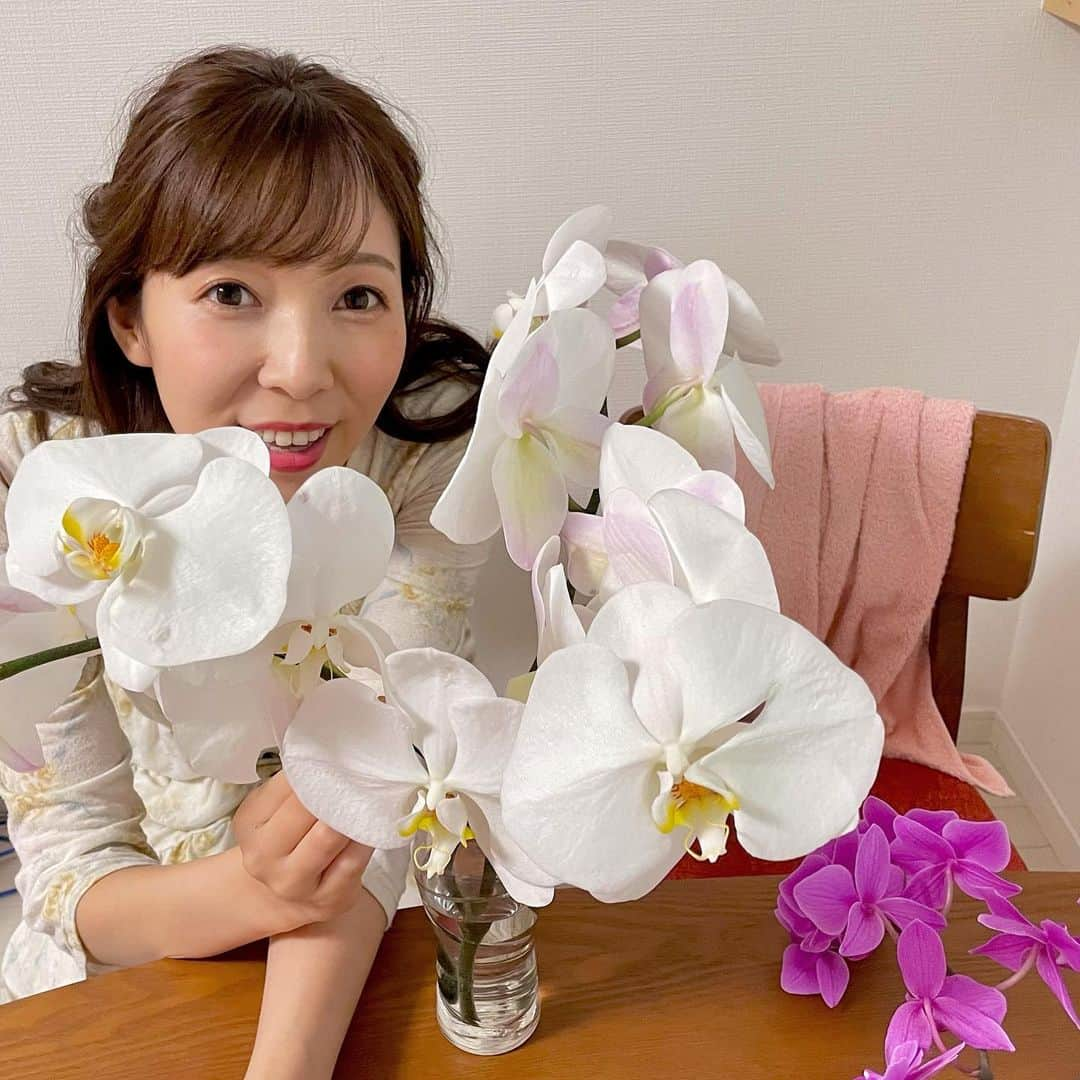 小野澤玲奈のインスタグラム：「胡蝶蘭ってとっても素敵☺️ 数日経ってもこの美しさよ  大輪で張りがあって惚れぼれ☺️  おうち用の切り花ですが15cmくらいある！(測った笑)  #胡蝶蘭 #大輪  #座間洋らんセンター  @zama_orchids  #タオル #生活感  #お花のある暮らし  #開店祝いみたい」