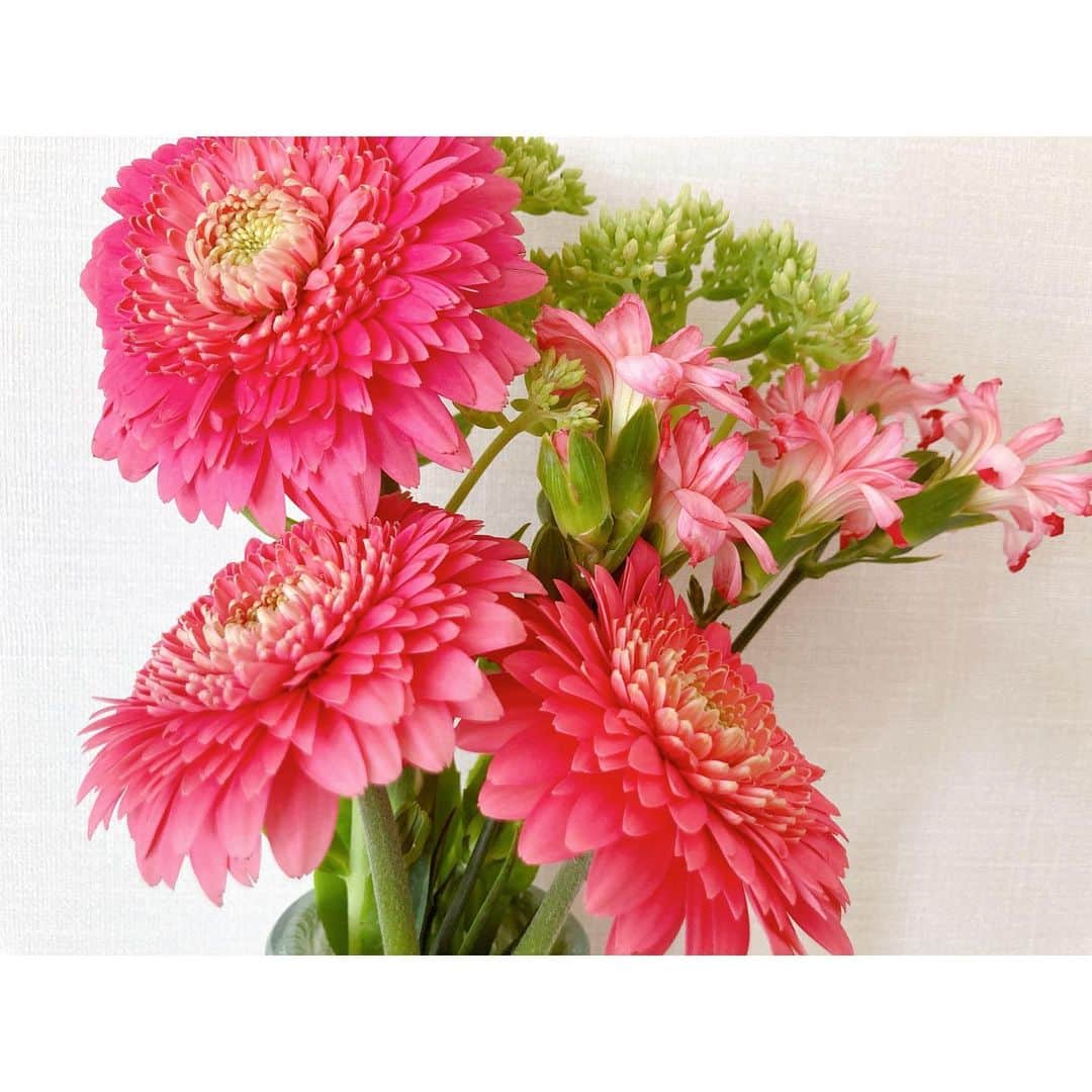 ソニンのインスタグラム：「. 💗💛❤️💙  #最近のお花」