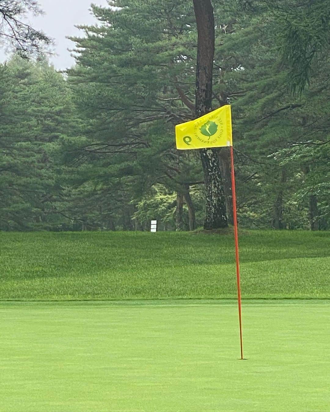 ImotoEtsuyo さんのインスタグラム写真 - (ImotoEtsuyo Instagram)「@karuizawa72golf  @karuizawa72_golf へ。  ・ ・ 開始前から 本降りの雨☂️ ここまで強い雨の中のゴルフは初めて。 ハーフ終わった頃から少しずつ 天気が回復したけど… 雨の日のゴルフは、グリップが滑るし フェアウェイがぬかるんでいるので、 晴れた日よりも飛距離が出す、 ランも少ない💦 ぬかるんでいるフェアウェイからの ショットは、何度も何度もダフリました。 ・ でも 日焼けを気にしないゴルフは 久しぶりでした。 ・ 今度は晴れている時に #72 に行きたいなぁ。 ・ ・ #ウェア #ポロシャツ ・#スカート ・#ゴルフバッグ  #レインレッグカバー  #全て ➡︎ @lanvin_sport_official  #ランバンスポール #lanvinsport   このポロシャツは リサイクルＰＥＴ糸を交編したポリエステル100％にて吸水速乾性に優れ 軽量性、ドライ感のあるECO/エコ素材を 使用🎵　　 ・ ・  #レインコート ➡︎ @pearlygates_official  #パーリーゲイツ #pearlygates   #ゴルフ　 #ゴルフ女子  #golf  #golfwear  #golfswing  #golffashion  #golfstagram  #golflife  #golfday  #golftime  #ゴルフコーデ  #ゴルフウェア  #ゴルフ女子コーデ  #ゴルフバッグ  #ゴルフ好き  #ゴルフ大好き #ゴルフファッション  #ゴルフ好きな人と繋がりたい  #軽井沢72ゴルフ北コース   ・ ・ 男性のキャディさんに アプローチをもっと練習してね！ とアドバイスを頂きました。 頑張ります！」9月5日 18時29分 - bisuhada