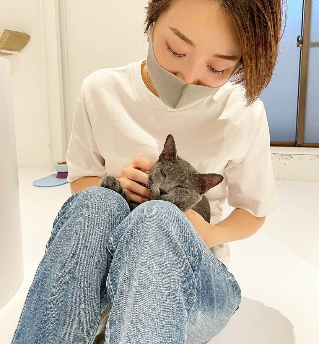 佐々木あさひさんのインスタグラム写真 - (佐々木あさひInstagram)「人生で初めての猫カフェ🐈 まだまだ子供の顔をしている子達ばかりで、 愛おしさ溢れ出た。だだ漏れした。 素敵な家族見つかるよ🏠  #保護猫カフェ #catadaption @necoma_official」9月5日 12時12分 - asahisasaki