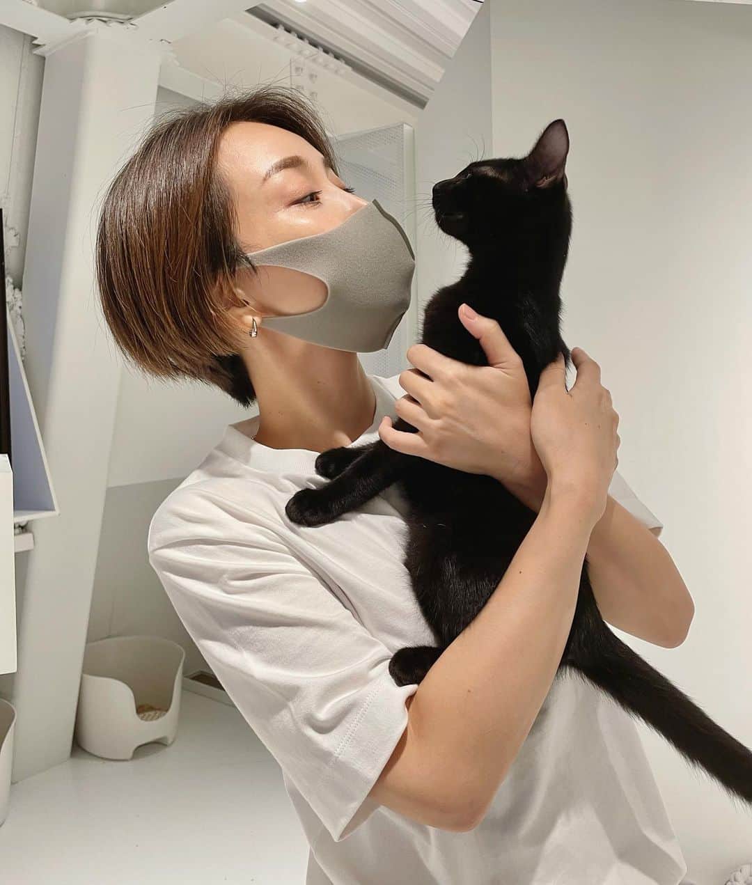 佐々木あさひのインスタグラム：「世間体や周りの目を気にした生き方ってみんなやめたいと願うけど、悪い事ばかりではない。失敗しない安心感や安定感を与えてもらっているし、挑戦する苦労や外れる恐怖を味合わなくていい。  大分助けられてきたけど、 このままではいつまでたっても満たされない気持ちをどこかでずっと持ち続けないといけない、かもしれない。 とても怖いけど、 今こそ心の根っこを満たす時かもしれませんね🪴  そんな時、猫の生き方はとても参考になりますな。 気まぐれに、媚びずに、愛されているいないは気にしていないけど、ちゃんと愛されている。  ブレそうになったらこの子達を思いだそっと🐈  （3枚目飛び跳ね方かわいすぎ）  #保護猫 #保護猫カフェ @necoma_official」