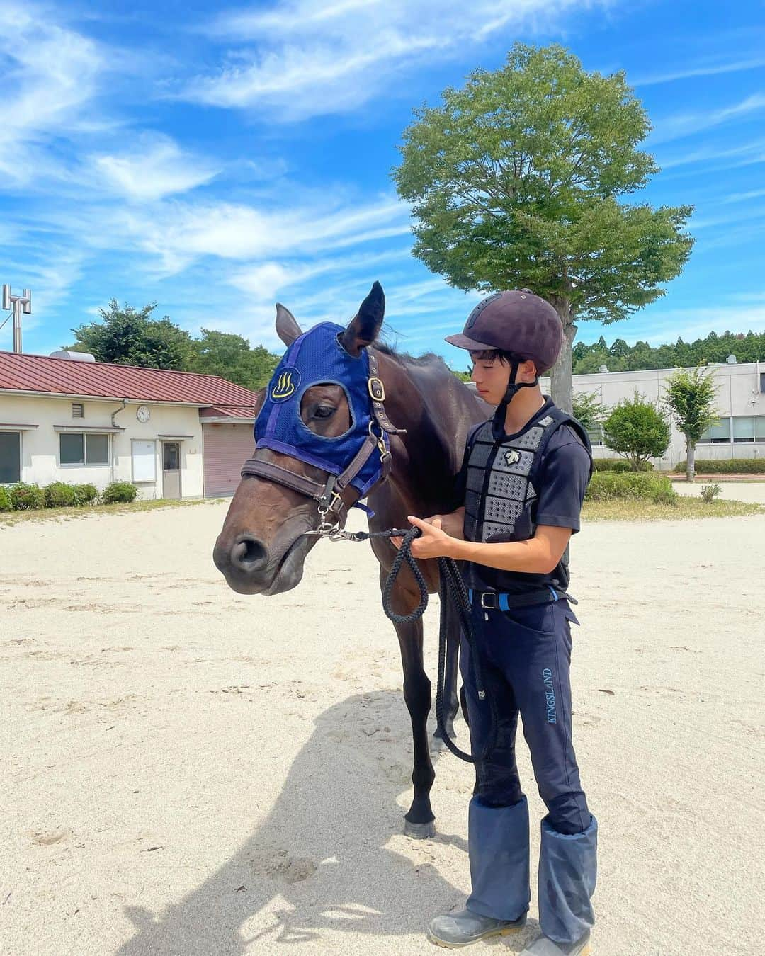 森田真理華さんのインスタグラム写真 - (森田真理華Instagram)「ついに！ 夏競馬が終わってしまいましたね🎐 あっという間だったなぁ . 存分に楽しめましたか？🧸🛼 . 夏に会いに行った トレーニング前のとーっても眠そうな デアリングタクトちゃんを 皆さんに共有します❤︎ . オンとオフの切り替えがはっきりしてる子 だそうでここではのーんびり休養していました🍬 ターフで輝く姿が待ち遠しいです！ . . . .  #デアリングタクト#可愛すぎる #三冠牝馬 #牝馬#馬#競馬 #horse #horselove #夏競馬 #リハビリテーションセンター #温泉#♨️#🐴」9月5日 20時00分 - marika__morita