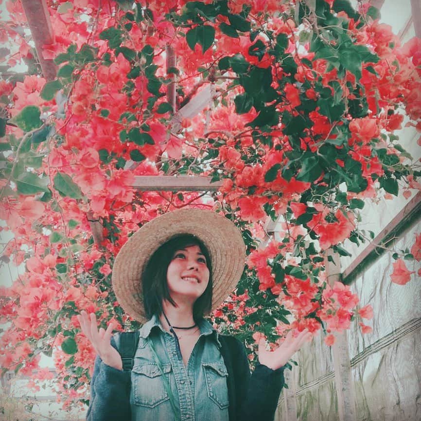 のインスタグラム：「被ってる写真あった！ お花の方が目立ちますけど☺︎ すっぴんだったのにお花の色が映り込んで頬紅みたいになってるの自然のパワーを感じる。  #夏の思い出 #麦わら帽子 #花」