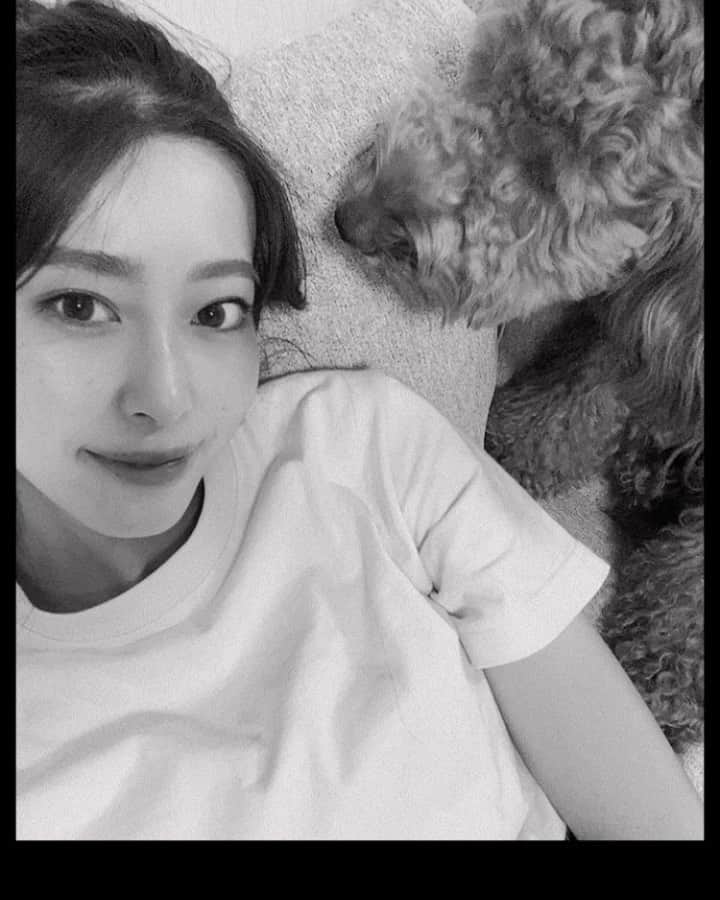 森山菜々のインスタグラム：「. モアと毎日いっしょに寝てるけど 夜中しれっと私の枕取り上げて 自分の枕かのように寝てるモア見て まじで人間やんこの人😅てなる👧🏽 #枕用意してってことね了解  座高変わらんけん、ソファ座ってて横向いて目合ったときの気まづさね🛋👀笑  #ゴールデンドゥードル #モア  #goldendoodle #moa #20kg級」