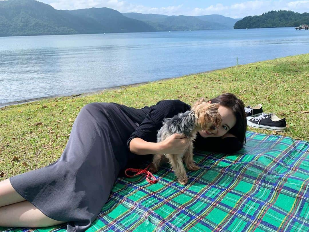 澤田愛美さんのインスタグラム写真 - (澤田愛美Instagram)「. 🐶❤️   #ごろごろ #十和田湖 #ピクニック #犬のいる暮らし #ヨークシャーテリア」9月5日 20時41分 - amy____oxox