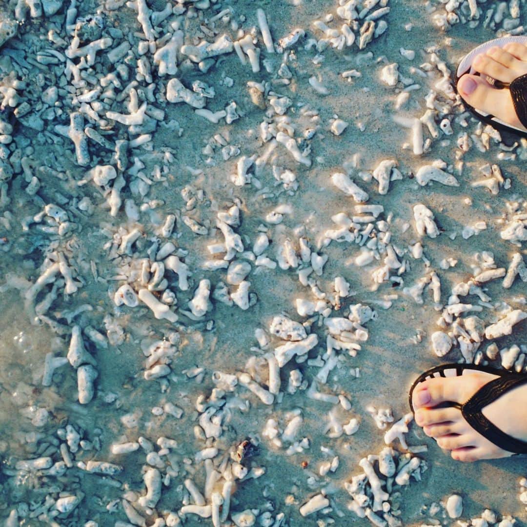 倉田茉美さんのインスタグラム写真 - (倉田茉美Instagram)「最近ずっとすっぴんで ダイビング海や自然がすごく好きで感謝してて、 沖縄のお友達にもらった「サンゴに優しい日焼け止め」を使ってます。 化粧下地にもなるから毎日。 なんか、環境にやさしいもの 自分の内側からやさしくなれる気がして、どんどん取り入れたい。 めちゃくちゃ高いわけでもないから、すこしずつ 色々よくなりたい🐟🌺  #なんのprでもない」9月5日 22時26分 - sena_sayu122