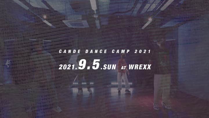 穴井隆文のインスタグラム：「今日は @cande_dancestudio のdancecampでWSさせていただきました🔥 受けに来てくれた方々ありがとうございました🙏 ⁡ そして今回声をかけてくださった @hige0505 さん @kurukurucurl  撮影してくださった @ryouzi.f さん ありがとうございました！！ ⁡ Till the Morning / @jamieboymusic  ⁡ ⁡ #candedancestudio tillthemorning #jamieboy #dance #lesson #choreography」