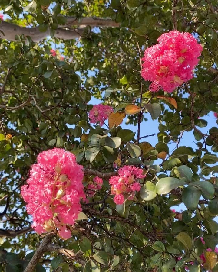 恵里花のインスタグラム：「Good Morning🍃  9月に入った途端、急激に冷え込みましたね🥶 もう少し暖かくなってくれたら嬉しいな。」