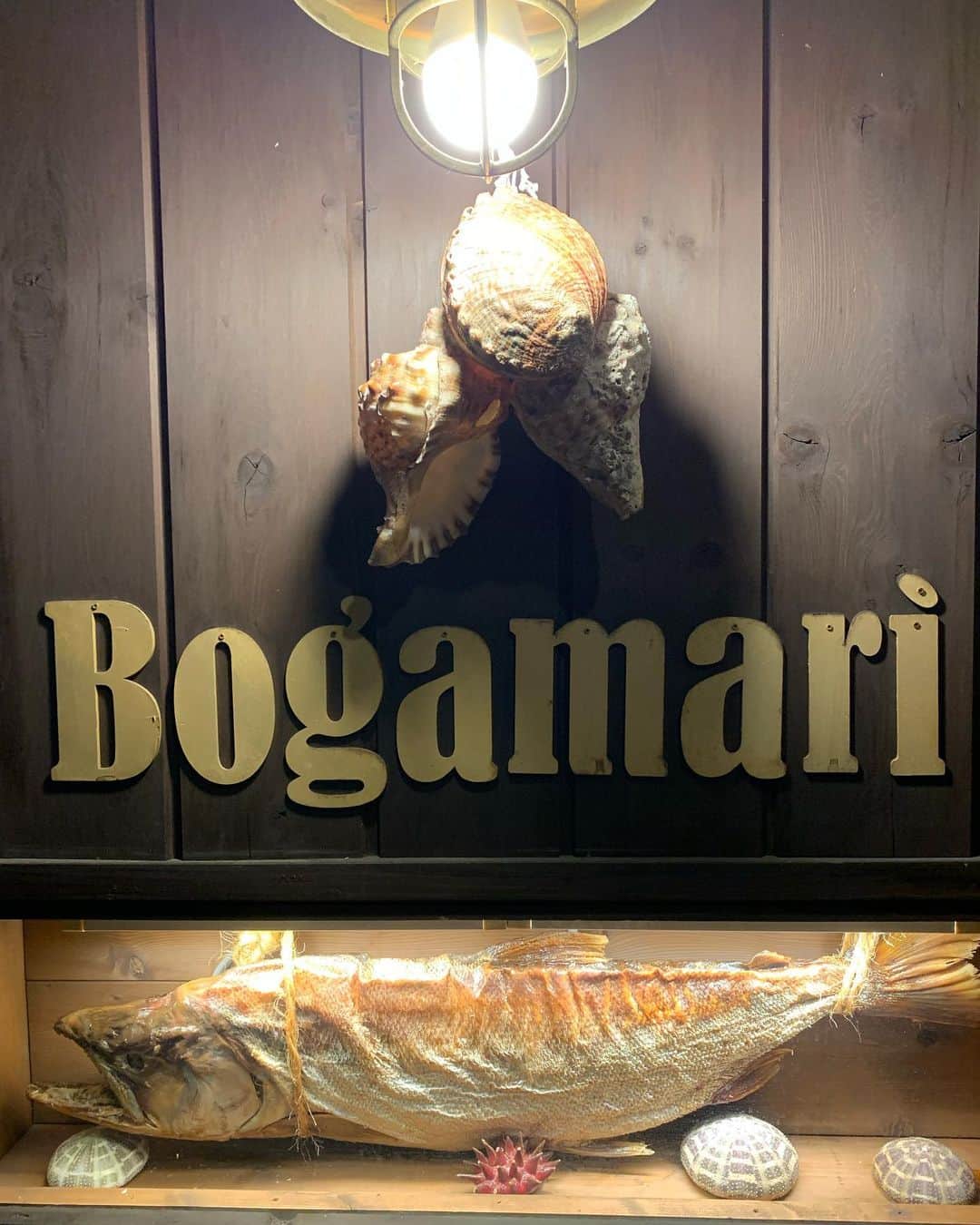 濱野りれさんのインスタグラム写真 - (濱野りれInstagram)「Seafood & Italian "Bogamari" in Kitasando🐟💛 You can choose the ingredients first. This style is not normally in Japan!! I enjoyed soo much💋  魚介多めのイタリアンレストラン🇮🇹最初に食べたいseafoodを直接選ぶことができるの！海外のレストランみたいで楽しかった♥️  人気なお店で当日予約はなかなか厳しいみたい🐟 お魚好きの人は是非行ってみてね💕   #bogamari #kitasando #shibuya #shibuyarestaurant #shibuyagourmet #japaneats #tokyoeats #ボガマリ #ボガマリクチーナマリナーラ #地中海料理 #イタリアン #北参道 #北参道グルメ #渋谷グルメ #渋谷」9月6日 18時52分 - riregram