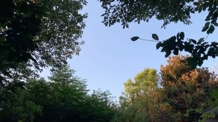 宇藤えみのインスタグラム：「久々に晴れて最高☀️ #暮らし」