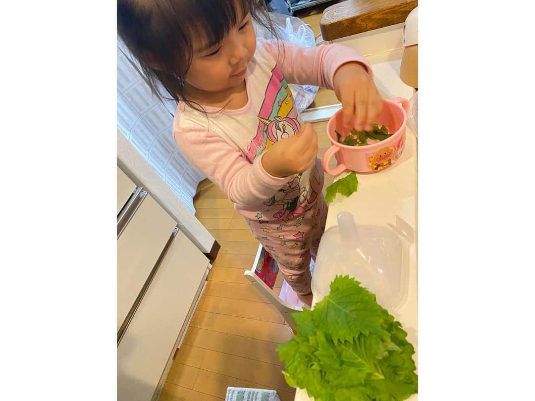 クロさんのインスタグラム写真 - (クロInstagram)「昨日の晩御飯👩🏽‍🍳🤍 ⁡ 夫婦で手分け晩御飯☺️🙏🏽🙏🏽 さっちゃんがとってくれて、手でちぎってくれた大葉で ⁡ 桃が作っていた ✔︎鶏胸肉のヘルシー梅しそチキン ✔︎マグロとアボカドのユッケ ✔︎中華サラダ ✔︎粉吹き芋カレー粉風 ✔︎大根の味噌汁 ✔︎梨 でした！！ 詳しくはブログに書きました〜💕💕💕 ⁡ #定食ご飯 #今日の晩御飯 #つくりおき食堂まりえ #お家ごはん #おうちごはん #時短ご飯 #dinner #簡単レシピ #レシピ #電子レンジご飯 #時短レシピ#yummy #delistagrammer #homecooking #tokyo #japanesefood #instafood #foodstagram #クロリサ的自炊 #おうちご飯 #クッキングラム #晩ごはん #instagood #instalike #tokyo #可愛い #大好き」9月7日 15時26分 - kuro_risa