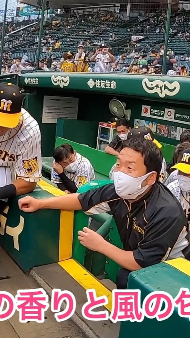 阪神タイガースのインスタグラム