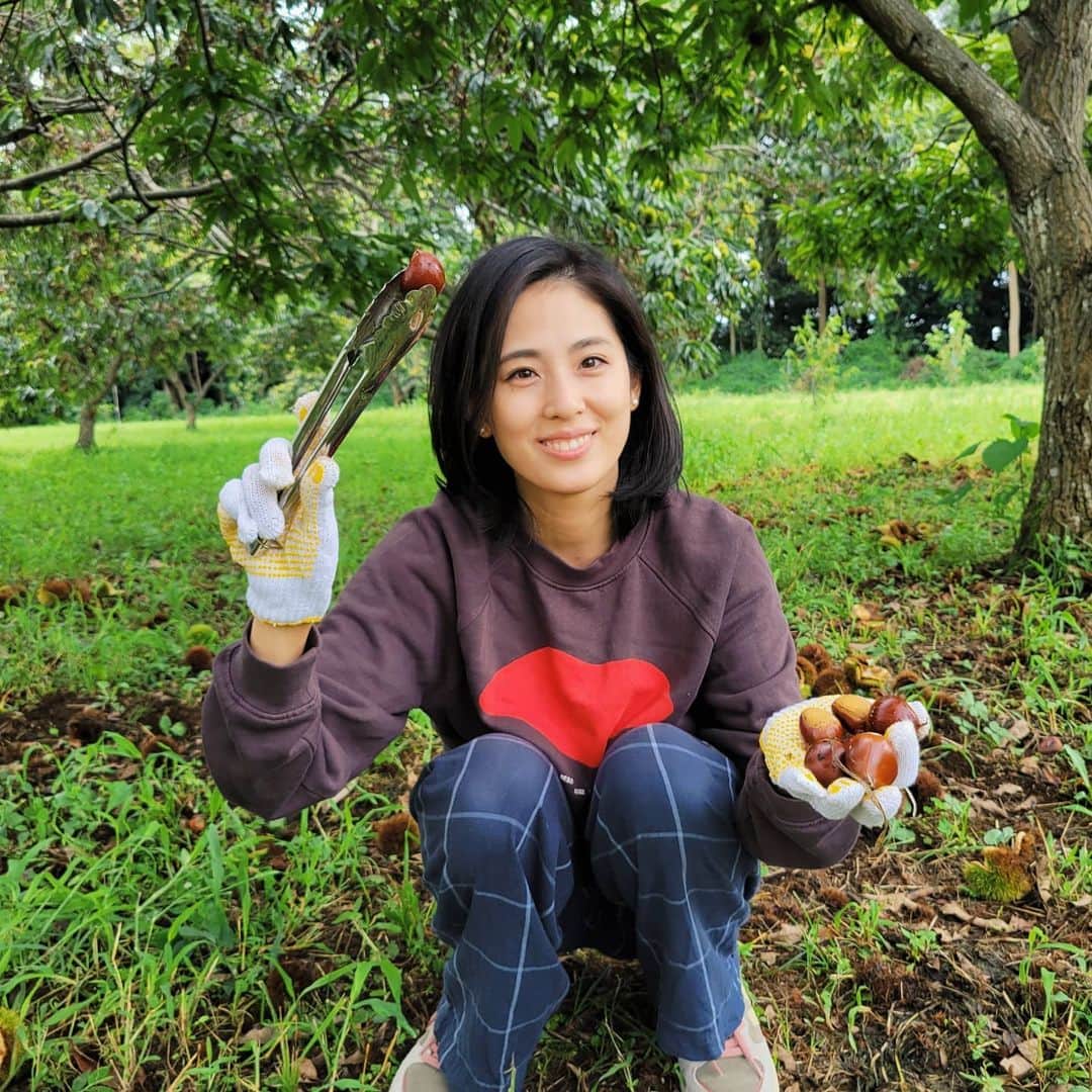 のインスタグラム：「栗の季節、キターーー！🌰(古い？😂)  ご近所にある無農薬の栗農園で６キロ近く栗拾い🌰  毎食、デザートとして大好きな栗を食べてます😋🌰ほくほく幸せ💓  気付いたらもう９月🍁早いですね～  雨が続いたり、肌寒かったり、また暑かったり。 みなさま、どうぞご自愛ください☺️🍵  #くリイナ🌰 #娘は到着早々眠りました #長男は栗となんかしゃべってました #好きな食べ物ランキング１位 #栗 #秋 #無農薬 #栗拾い #サステナブル #sdgs」