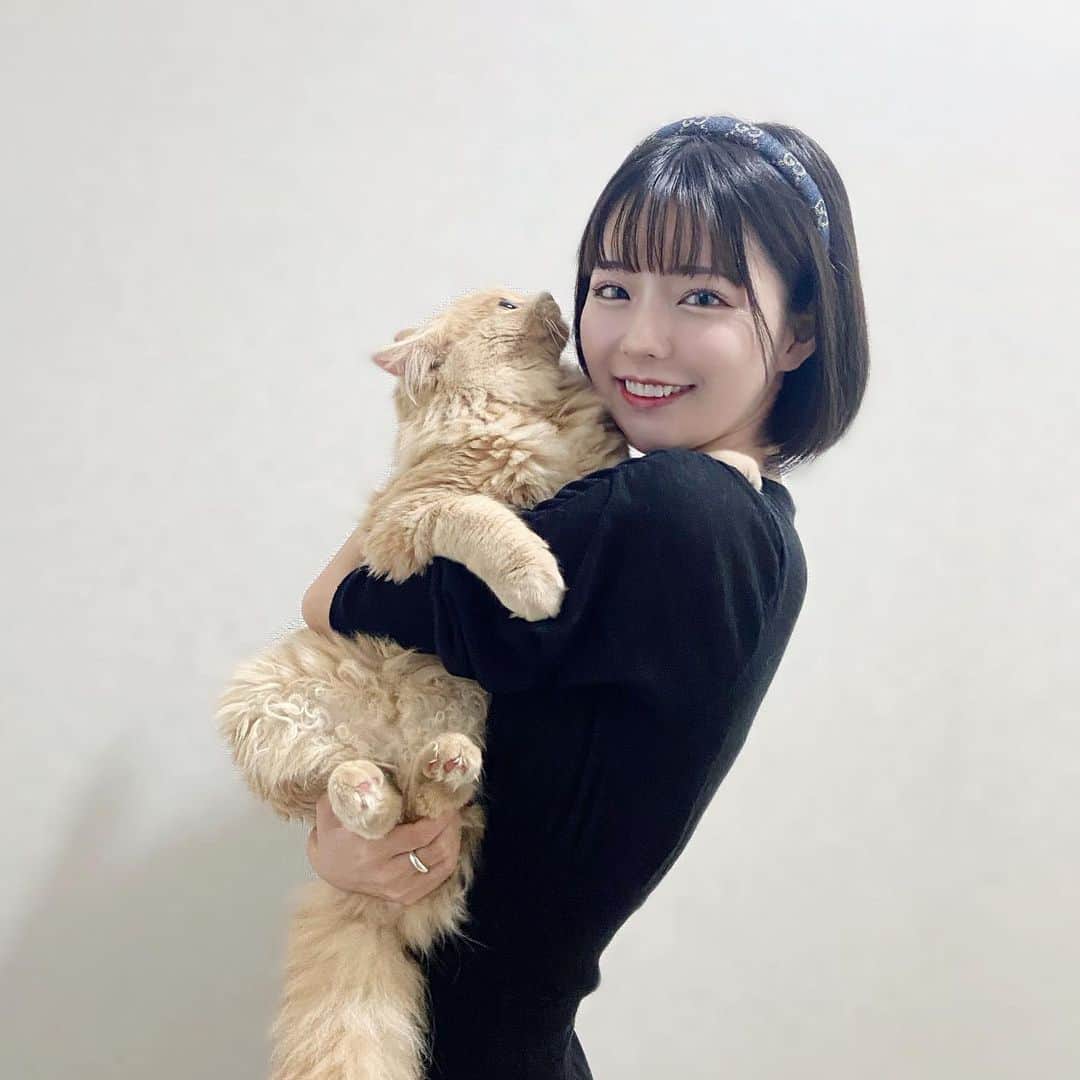 sarimaru(国木田さりまる)さんのインスタグラム写真 - (sarimaru(国木田さりまる)Instagram)「めっちゃ成長しました🐈♡」9月7日 21時02分 - pika.870