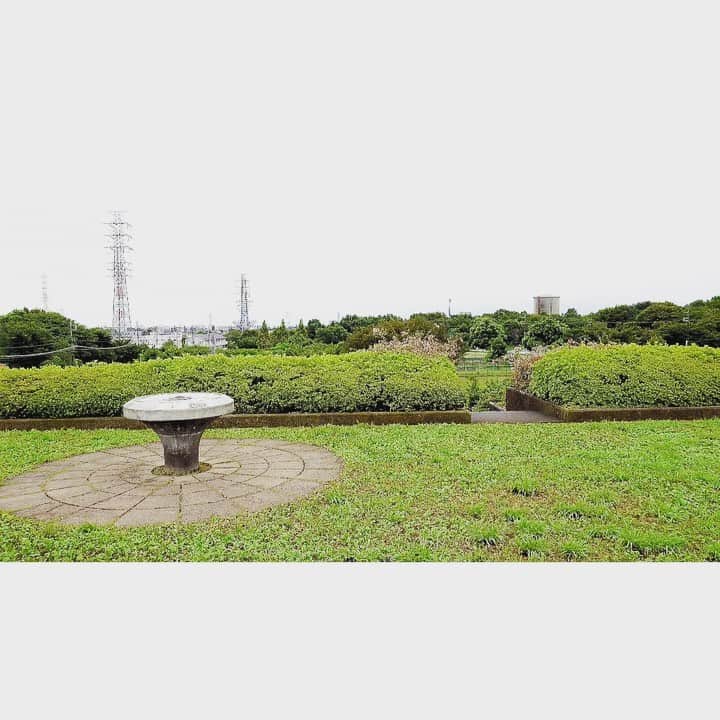 渡部いずみのインスタグラム