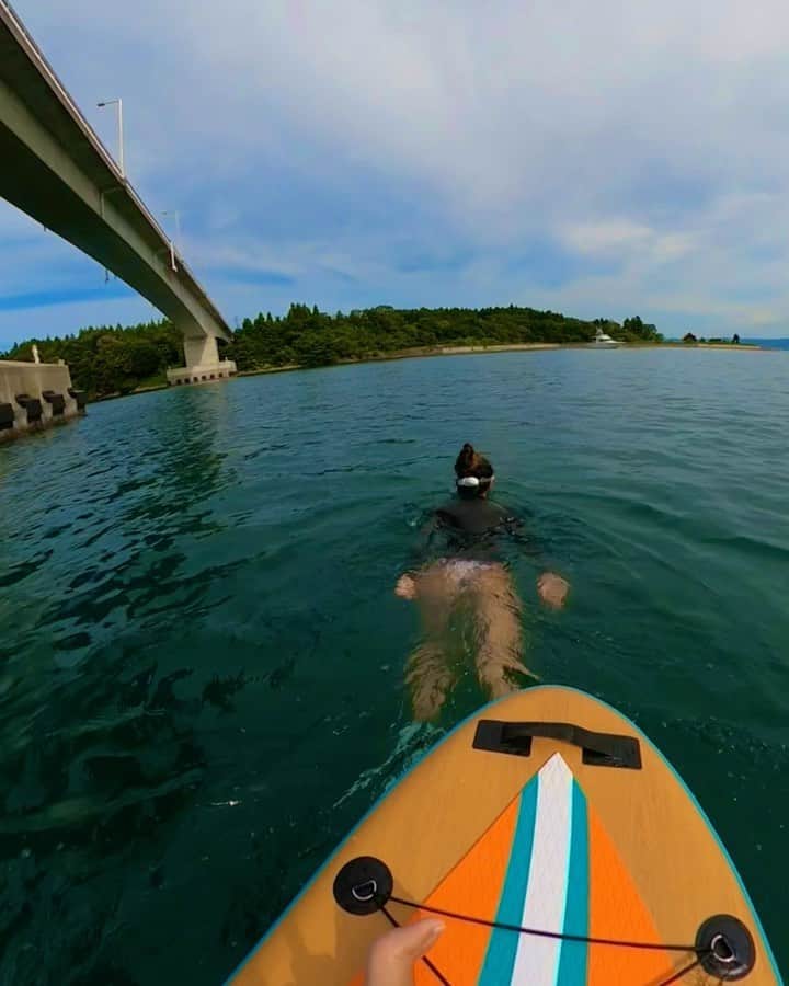 広野あさみのインスタグラム：「私たちがゴミを拾う理由の一つ🐬🚮🚯  #野生のイルカさん #🐬  @goprojp  @full.moon.crew」
