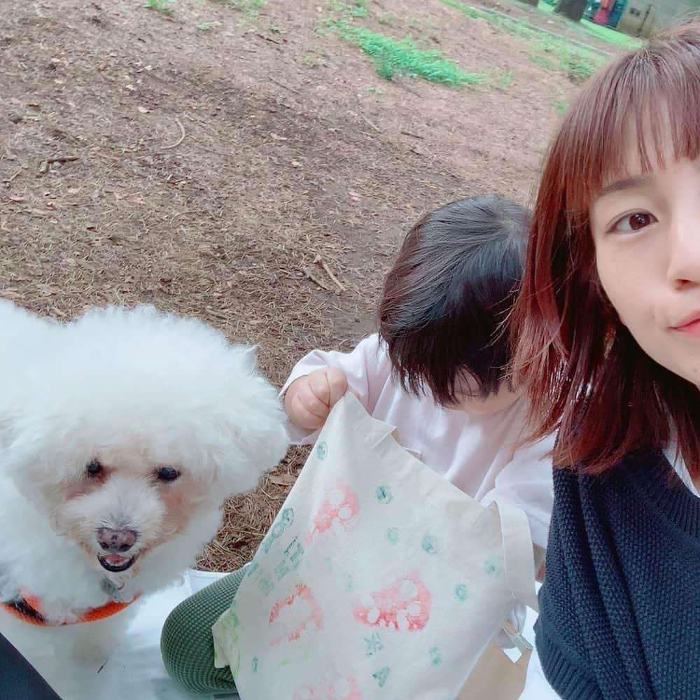 安田美沙子さんのインスタグラム写真 - (安田美沙子Instagram)「公園。 涼しくなったから、少し秋仕様✨息子も、バッグ持ったらママとおんなじだねって☺️❤️ スクールで自分でスタンプおして作って来たバッグにお菓子沢山入れて行きました。  はんなは、留守番いやだ！！という顔だったので一緒に自転車に乗って🐶🤍  最近あんまり一緒にのんびりいれてなかったね！ ママタイムが少ないと、なんだかワガママになります。ママタイム大事なんだね😭✨  @four_o_five_405  にて、最近の想いを綴りました。。 ↓ こんな時代になり、大切なものは何か。 実は気付かなかった、近くにあるものが実はとても大切なんじゃないか。  そして、それを大切にすることが何より充実して、幸せを感じるんじゃないかと思うようになりました。  おうちだったり、家族だったり、いくら大切にしてもしすぎることはないよねって☺️  そんなことを想いながら、商品に入れる葉書を書いていました。まだまだ書くぞう！  #boy #4歳児　#小さい彼氏 #まだまだ甘えたい　#大切なもの　#大切に　#大切なものは近くにある　#秋」9月7日 22時12分 - yasuda_misako