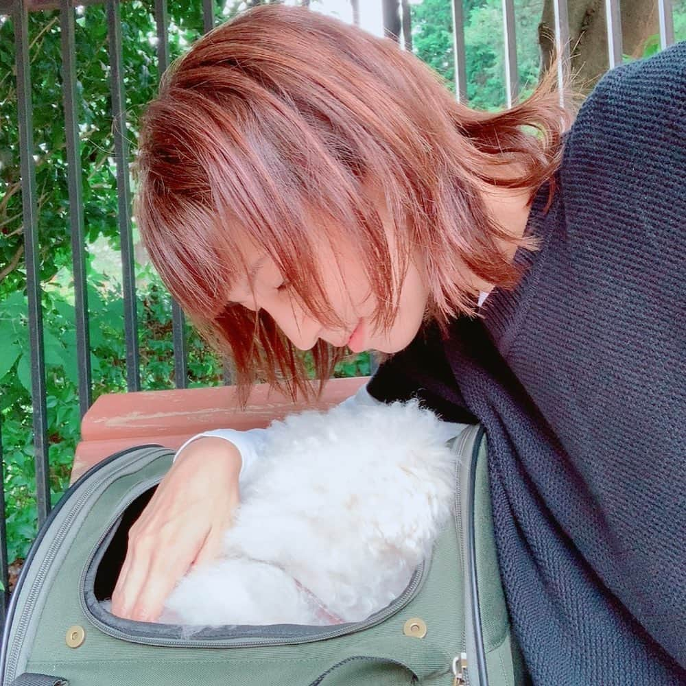 安田美沙子さんのインスタグラム写真 - (安田美沙子Instagram)「公園。 涼しくなったから、少し秋仕様✨息子も、バッグ持ったらママとおんなじだねって☺️❤️ スクールで自分でスタンプおして作って来たバッグにお菓子沢山入れて行きました。  はんなは、留守番いやだ！！という顔だったので一緒に自転車に乗って🐶🤍  最近あんまり一緒にのんびりいれてなかったね！ ママタイムが少ないと、なんだかワガママになります。ママタイム大事なんだね😭✨  @four_o_five_405  にて、最近の想いを綴りました。。 ↓ こんな時代になり、大切なものは何か。 実は気付かなかった、近くにあるものが実はとても大切なんじゃないか。  そして、それを大切にすることが何より充実して、幸せを感じるんじゃないかと思うようになりました。  おうちだったり、家族だったり、いくら大切にしてもしすぎることはないよねって☺️  そんなことを想いながら、商品に入れる葉書を書いていました。まだまだ書くぞう！  #boy #4歳児　#小さい彼氏 #まだまだ甘えたい　#大切なもの　#大切に　#大切なものは近くにある　#秋」9月7日 22時12分 - yasuda_misako