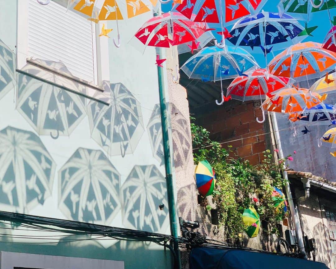 小澤陽子さんのインスタグラム写真 - (小澤陽子Instagram)「📌　Águeda, Portugal 🇵🇹  (⌖July. 2019)  先日の梅雨入りの際の投稿で、 この場所について沢山問い合わせをいただいたので、 記したいと思います☻📝(嶺衣奈さんの連載にも記載)  ここは、世界各地でも流行った 『傘祭り』発祥の地だそうなんです⛱✨  というのも、 ここ、ポルトガルのアゲダという場所は建物が低く、 鋭い日光を遮る影が少ないため、 日射病や熱中症予防としてこの芸術が始まったんだそう💡 由来を知ると、より面白いですよね🤭  ︎✏︎ 首都リスボンから2〜3時間の街。 ✏︎ このアートフェスティバルは、普通の年であれば夏の３ヶ月くらいの期間 ✏︎ 傘祭りはここが発祥⛱ ✏︎ リスボンから遠いからかそこまで人がいないので、写真取り放題☺️笑  #リスボン　#ポルトガル #傘祭り #芸術 #カラフルな傘の反射がかわいい #おざよーtrip✈︎ #旅記録 #姉妹旅行？🥰 #旅行に行きたいなぁ…💭  . . . ✏︎ Ageda… 2.5h from Lisboa🚙 ✏︎ Art festival for 3 months in summer(normally) ✏︎ not much people so that you can take pictures as much as you want! lol ✏︎ Umbrella Sky Project originally from here ✏︎ reflections / shadows of umbrella is so cute🥰  #UmbrellaSkyProject #Águeda #portugal🇵🇹 #ArtForAll  . ..✈︎..✈︎...✈︎....✈︎.....✈︎......✈︎.......✈︎」9月7日 22時13分 - yoko.ozawa729
