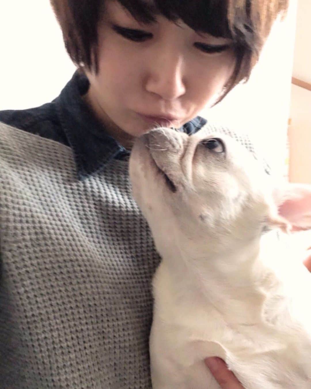 大友愛さんのインスタグラム写真 - (大友愛Instagram)「髪型が韓流スターな件😗  虎徹からのチューは特別💋🐷💕  #虎徹がすき #フレンチブルドッグ #過去pic」9月8日 12時20分 - ai_dayooon