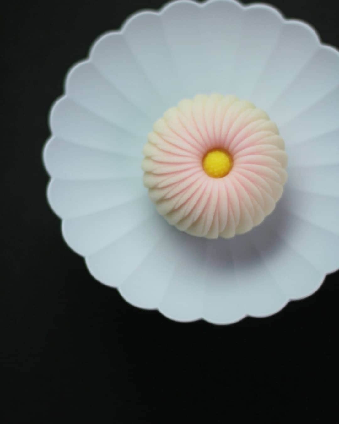 和菓子職人 三納寛之のインスタグラム：「『菊花』 練り切り製 小豆漉し餡  重陽の節句も近いと言う事で菊の練り切りをパシャリ📷  9月14日㈫、19㈰名古屋星が丘テラスでの直接販売のご予約受付け開始いたします。受け渡し時間は11時~17時。 販売商品は上生菓子6個入り(デザインお任せ)2900~2700、干菓子光のしずく1200、恋心raspberry1200、木の実とドライフルーツの一口羊羹森のしらべ(白、黒)各1個200。 DMにて①お名前②お電話番号③販売希望日④希望商品をお知らせください。こちらの予約担当者からの返信をもってご予約完了となります。  ーーーーーーーーーーーーーーーーー  #和の菓さんのう#三納寛之#和菓子#練り切り#主菓子#茶道#花#菊#重陽の節句#上生菓子#生菓子#スイーツ#名古屋#岐阜#日本#JAPAN#Food#Foodpic#綺麗#可愛い#美味しい#和菓子職人#Flower#ピンク#pink」