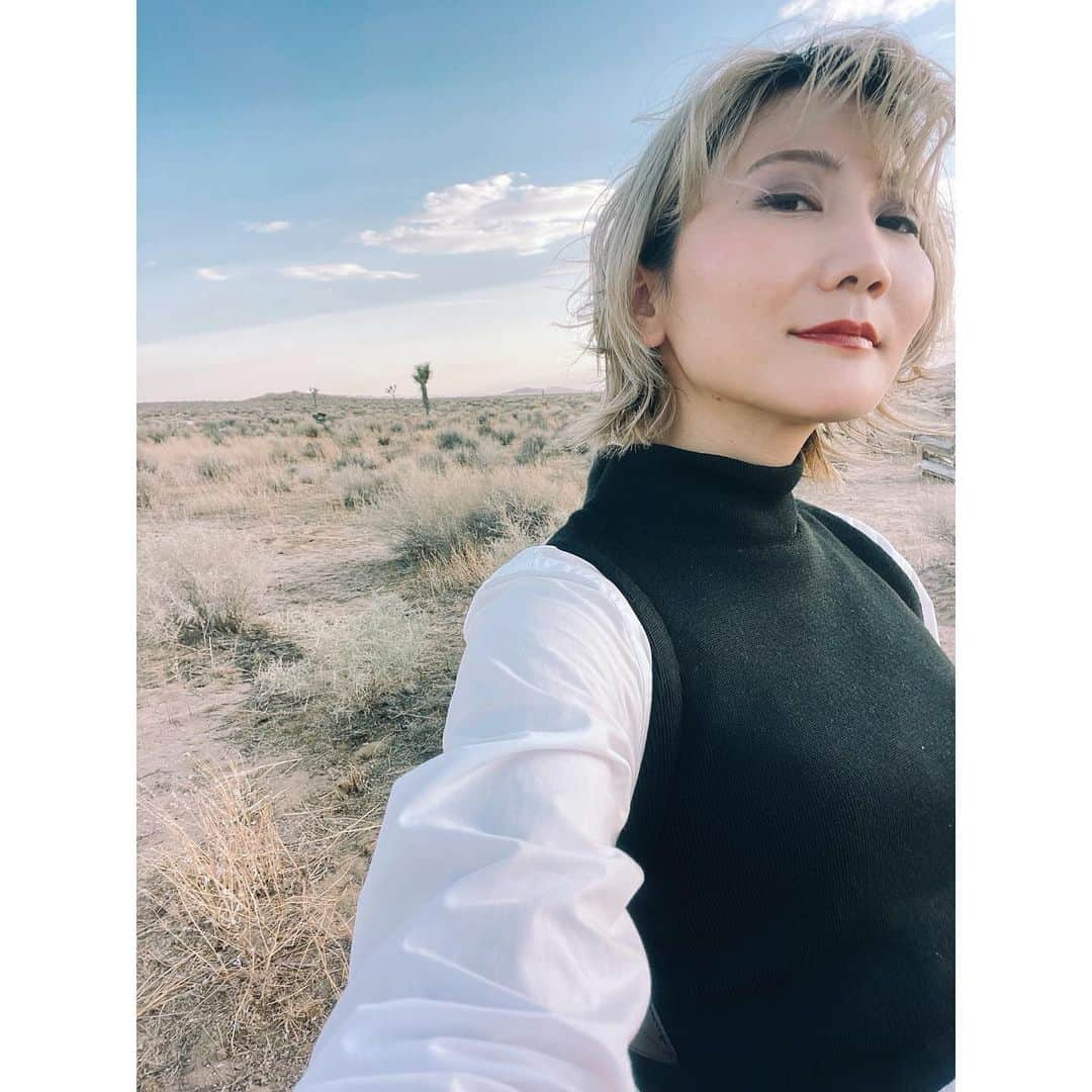 Saoriさんのインスタグラム写真 - (SaoriInstagram)「英語を勉強し始めたのは、二十代後半のこと。  新宿でお酒を飲んでいたら、フランス人から 「何故あなたはマスクをしてるの？」と英語で聞かれた。 何も答えられずにもじもじしていたら、 隣で夫が「実は彼女、日本でちょっと有名だから顔を隠してるんだよ」と英語で説明していた。  悔しかった。 人に話しかけられて、もじもじしてしまう自分は自分じゃないと思った。  その次の日から英語の勉強を始めてみた。 今では伝えたいことをシンプルな言葉で伝えることが出来るようになったけれど、簡単な文法や単語ですらしょっちゅう間違える。 英語圏の人たちと曲作りをしているときは、専門的な言葉が分からなくて全然伝わらないこともある。 でも誰も間違える私を笑ったりしない。  もじもじしていた自分より、 間違えながら進む今の自分の方が好きだ。  When I was in my late 20s, I started to study English.  I was drinking in Shinjuku when a French guy asked me, "Why are you wearing a mask?" I didn't reply because I had no confidence to speak English.  My husband answered him, "Actually, she is kind of famous in Japan, so she keeps her face covered."  I was mad at myself. I could have used simple English words to reply, but I didn't because I always make mistakes.   When I'm composing a song, I need to use and understand professional language - even in English. But no one has ever laughed at me when I make mistakes.  Even if I make these mistakes all the time, I like myself better now than I did when I was shy.   #endoftheworld #inmydream」9月8日 10時47分 - saori_fujisaki