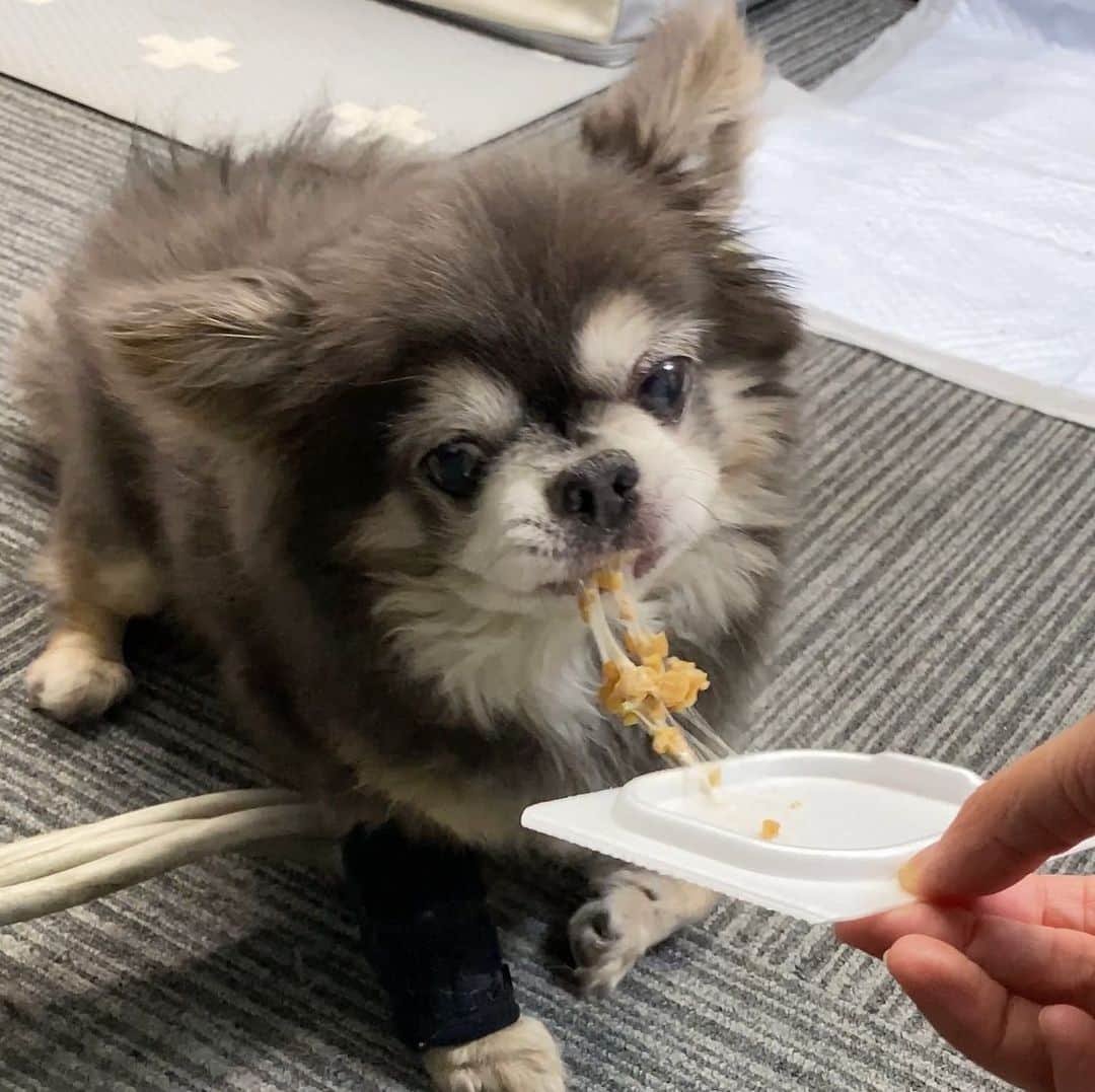 Yukiのインスタグラム