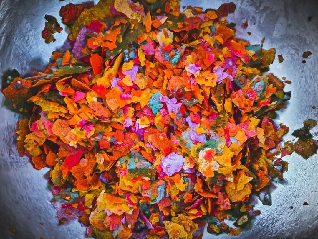 ShinTakedaのインスタグラム：「×××××××××××××××× vegetable flake  野菜のフレーク  秋を感じる🎨  ーPersonal Chefー ・Kanagawa ・Tokyo  ー出張料理ー ・神奈川 ・東京 ・少人数◎  ーCateringー ・You can do it whenever and wherever you like. ・いつでもとこでも好きな場所で  #アートを食べる お問い合わせ DM or mail  info@pint.co.jp   #pintcatering #catering #personalchef #creativefood #japanesefood #eatart #flake #アートを食べる #ピントケータリング #出張料理 #おうちごはん #おもてなし料理 #ホームパーティー料理 #delicious  #武田心 #shintakeda」