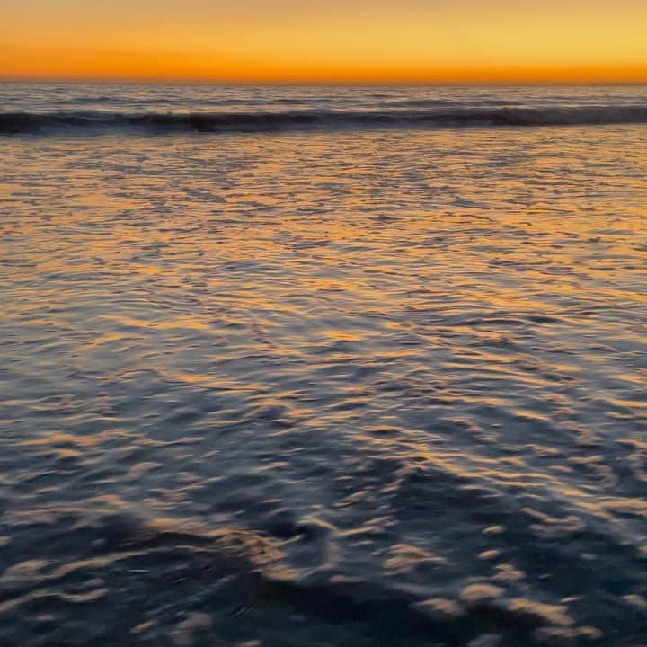 コビー・スマルダーズのインスタグラム：「If you are willing and able, please join me for @oceanconservancy’s 2021 #InternationalCoastalCleanup, the world's largest volunteer effort to keep our ocean free of trash! Starting September 18, do your part to keep our waterways clean by connecting with your family and friends, choosing a location, and taking on the litter that congests our coasts. Go to the link in @oceanconservancy’s bio to learn how you can #ConnectAndCollect」