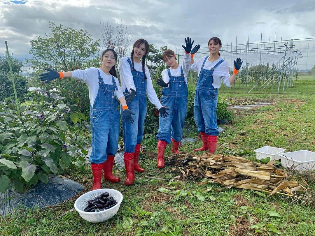 りんご娘さんのインスタグラム写真 - (りんご娘Instagram)「【今朝の農業】  4人で野菜の収穫‼︎  今日は収穫が少なかったので、全部の袋にステッカー貼りました✨ 早いもの勝ちです🏃‍♂️🏃🏃‍♀️  #なす #ピーマン #ringomusume #今朝の農業 #スマイルファーム」9月9日 9時56分 - _ringo.musume.com_