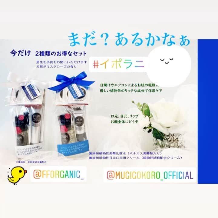 立見里歌のインスタグラム：「夏の疲れたお肌に、ちょっとリッチなプレゼント付き🎁もう寒くなってきました。残っていたら、ラッキーです🍀 🌿 販売店はこちら⬇️ . 🛒 #むぎごころ  さん 🏡 #自然食品ff さん #広尾店　 #麻布十番店 #麹町店 #京王百貨店新宿店 #コピス吉祥寺店 #ぷらりと京王府中店 . https://www.la-ipolani.com/ 🌿 むぎごころ  さん用バナーなんです。 皆さんに見て欲しくて、UPしてみました😁 . #オーガニックコスメ  天然 #ダマスクローズ が香る . #イポラニローション #イポラニ目元口元用クリーム #植物性 #発酵 #植物性肝細胞 . ---------------------- #敏感肌スキンケア  #子供もつかえる  #女性コスメ #男性コスメ  #エイジングケア  #無添加  #美肌ケア  #美容 #保湿  #美容好きな人と繋がりたい #コスメ好き #コスメすきな人と繋がりたい #オーガニックコスメ  #オーガニックコスメ好きな人と繋がりたい」