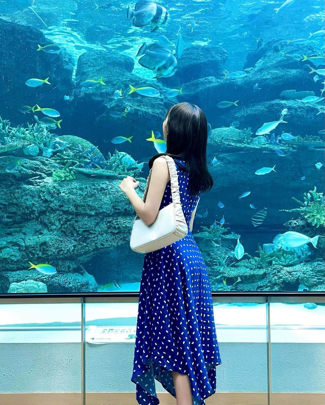 Manaさんのインスタグラム写真 - (ManaInstagram)「エイ君とにっこりツーショット💙💙 こんにちは😊 . 先日の水族館、続編です♪🐠.° (動画もあります💕) . . 全身コーデVer.ご紹介します！ . イレヘムデザインの裾が可愛すぎて 昨年から愛用中のワンピは🥰@sheller_official . バッグとブーツはともに @charleskeith_jp 新作です💠 . .  表紙はたまたま撮れた奇跡の一枚🥺✨✨ . 見れば見るほどにじわじわくる 癒しのエイ君でした♡ . . . . . . #portofnagoyapublicaquarium #aqarium #水族館 #名古屋港 #名古屋港水族館 #水族館好き #海好き #お魚 #海の生き物 #青の世界 #エイ #マンタ #ワンピースコーデ #ノースリーブ #ブルーコーデ #海コーデ #イルカショー #イワシのトルネード #夏の思い出 #夏の終わり」9月9日 12時06分 - mana.tcy