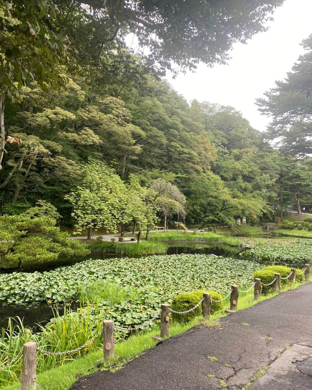 市川海老蔵 （11代目）さんのインスタグラム写真 - (市川海老蔵 （11代目）Instagram)「Time for my hobby * 趣味の時間  #市川海老蔵 #海老蔵 #成田屋 #歌舞伎  #歌舞伎座 #和 #舞台 #ABKAI #ABMORI #ebizoichikawa #ebizo #kabuki #thunderparty #ebizotv #theater #theaterarts #actor #kabukiactor #japan #classic #traditionaljapan #japaneseculture #japan_og_insta #performingarts」9月9日 12時21分 - ebizoichikawa.ebizoichikawa