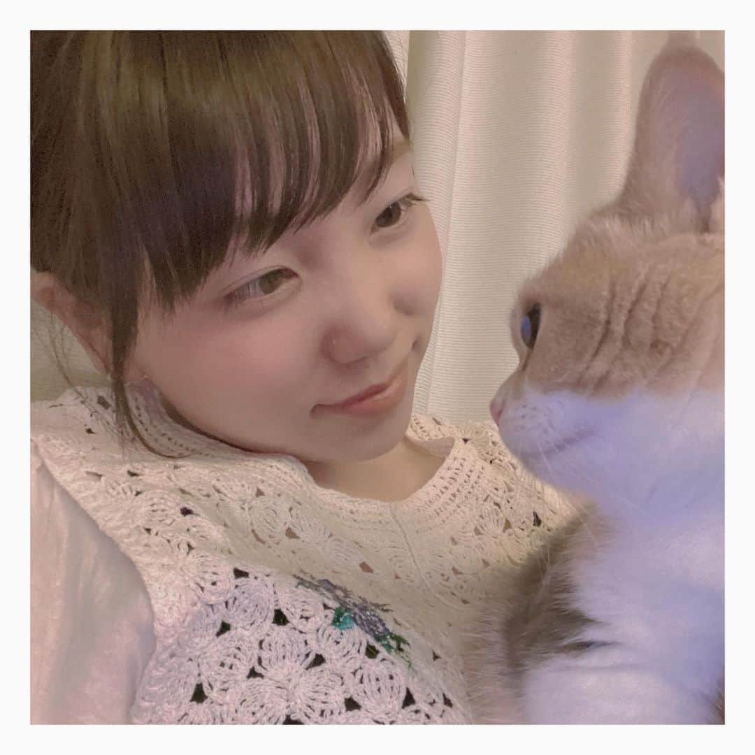 小原好美さんのインスタグラム写真 - (小原好美Instagram)「皆さん一日お疲れ様でした 最近は帰るとかけよってきてくれます。 嬉しい…でもご飯よこせってことかな？笑  最近肌寒かったり、暑くなったり 寒暖差も激しいので気をつけてくださいね。  #ミルさん #コメントありがとうございます」9月9日 22時54分 - konomi_kohara0628