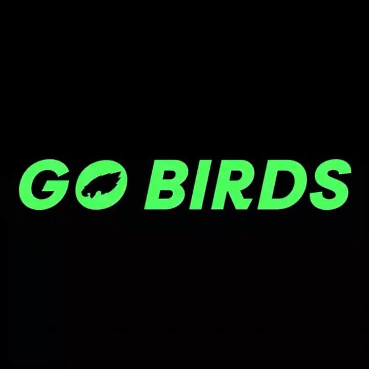 マイク・トラウトのインスタグラム：「GO BIRDS #FlyEaglesFly」