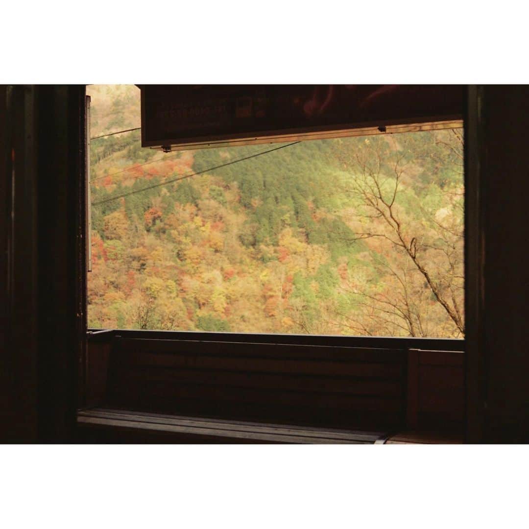 橋本愛さんのインスタグラム写真 - (橋本愛Instagram)「GENIC発売してます。 連載「日日是好日」 なんかもうこれいつの？って写真が沢山出てきてしまい季節錯誤が凄いんですけれども  結構お気に入りなの撮れたのでぜひ見てね🍁🌸♡」9月10日 20時20分 - ai__hashimoto